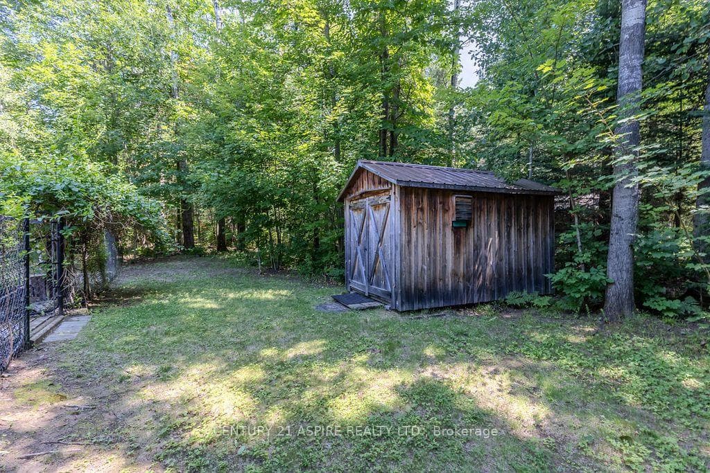 Backyard shed