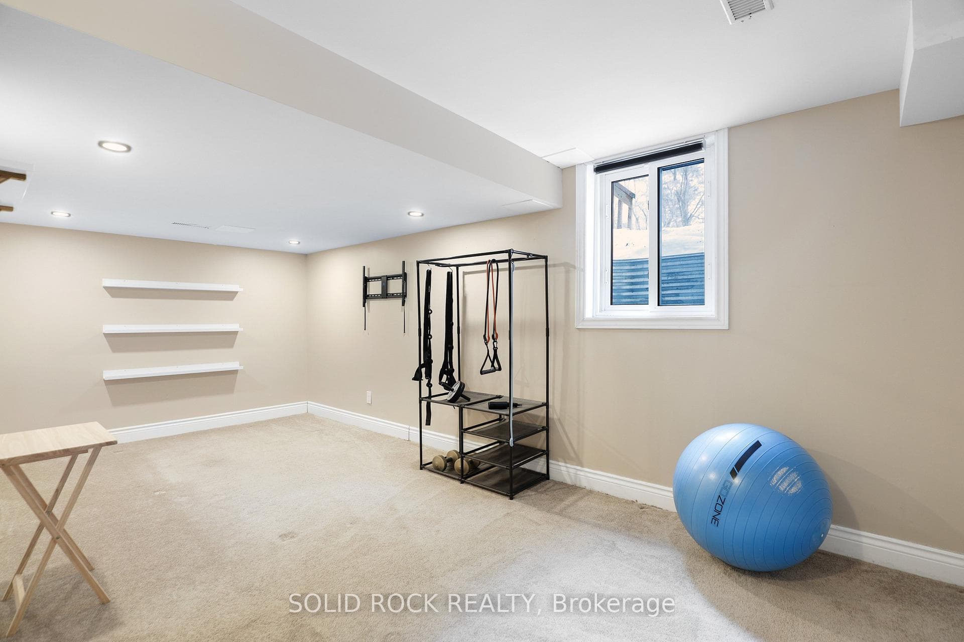 Basement Living Area