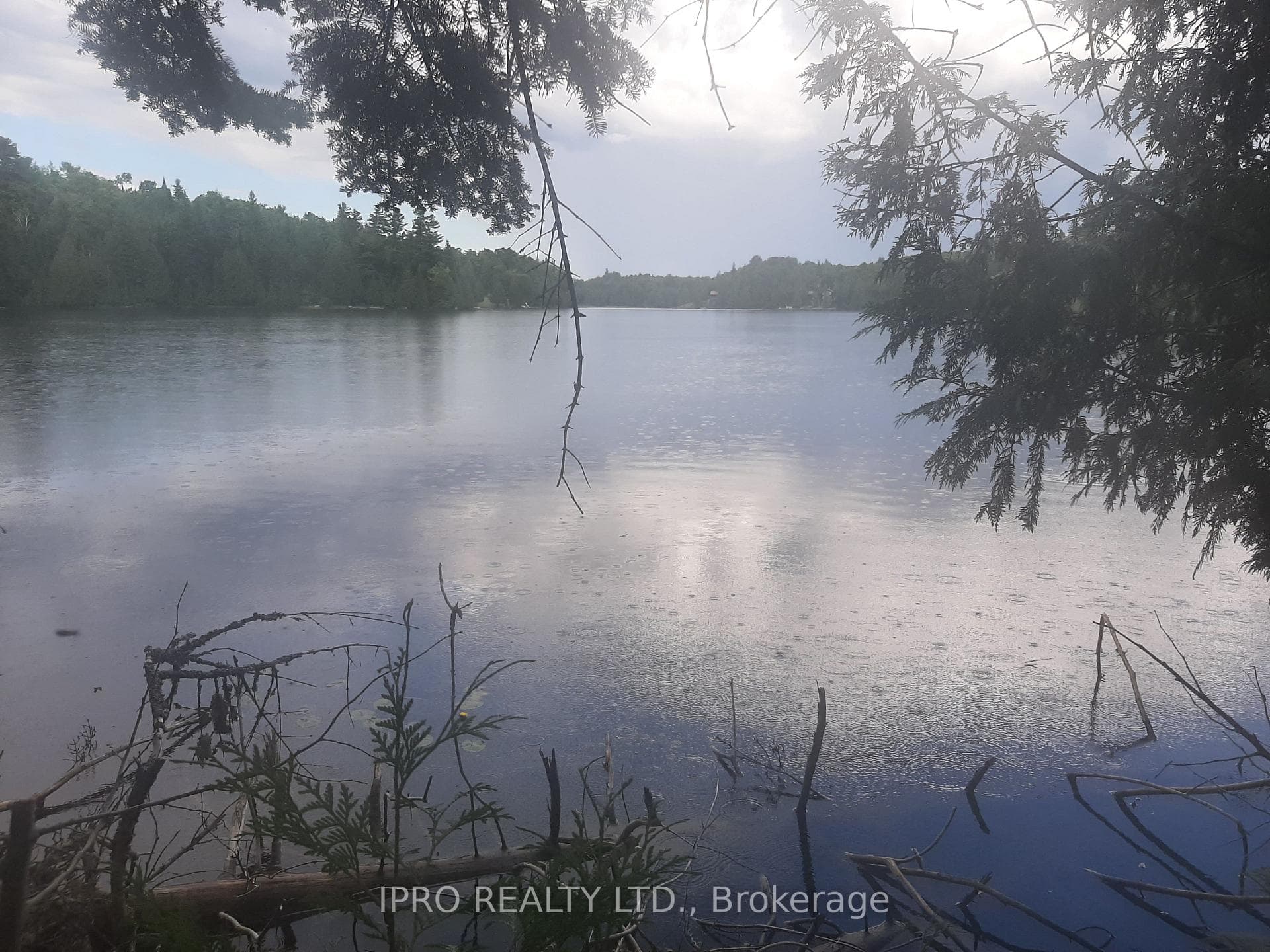 6491 Opeongo Road photo 17