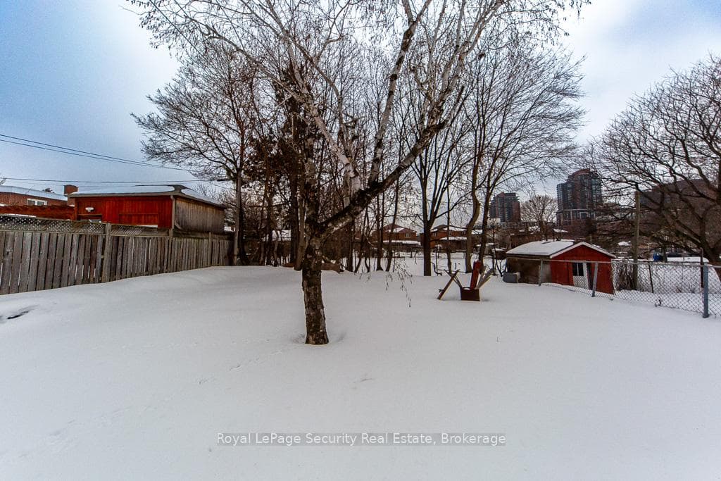 35 Celt Avenue photo 34