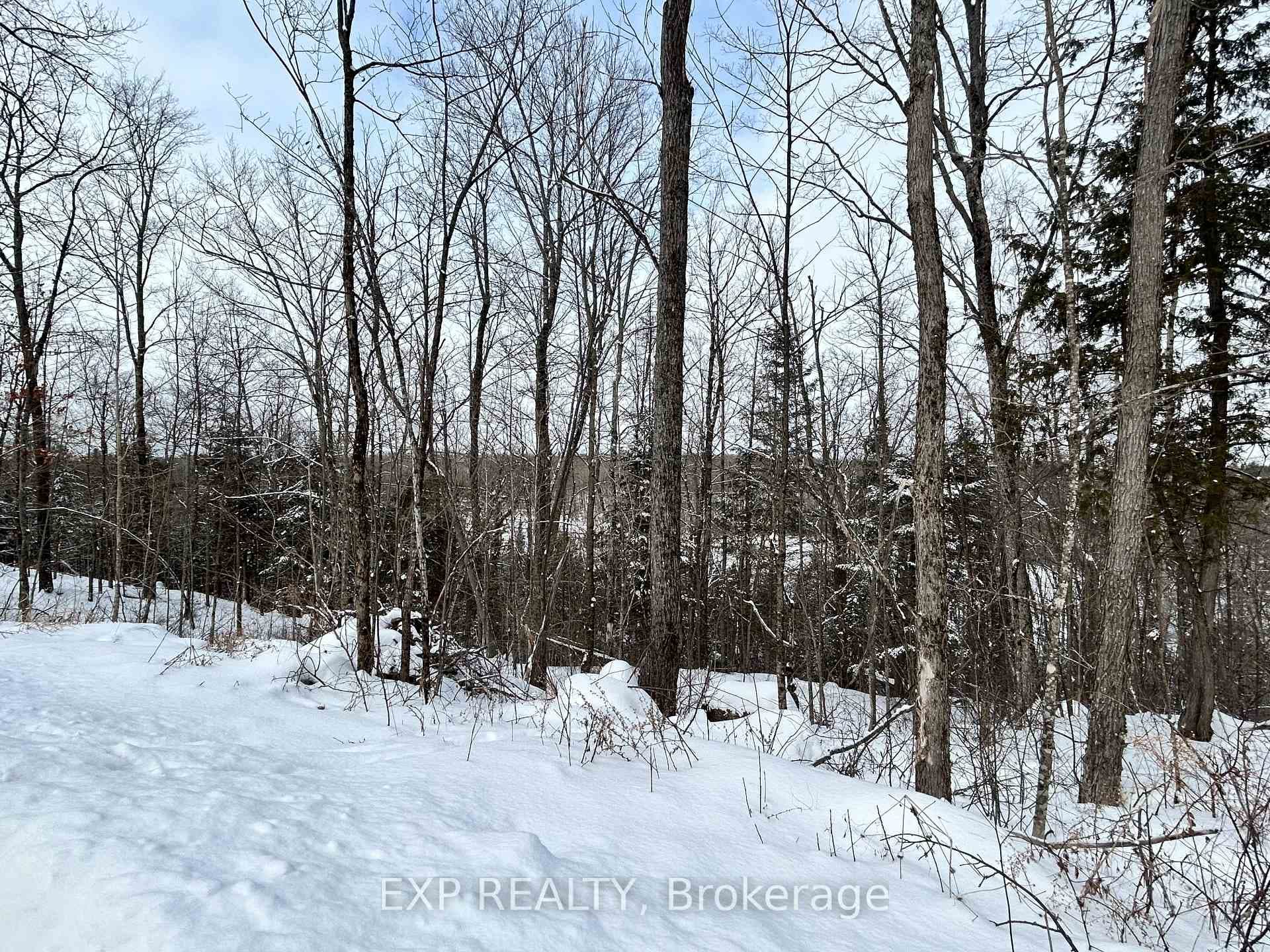 00 Upper Spruce Hedge Road photo 1