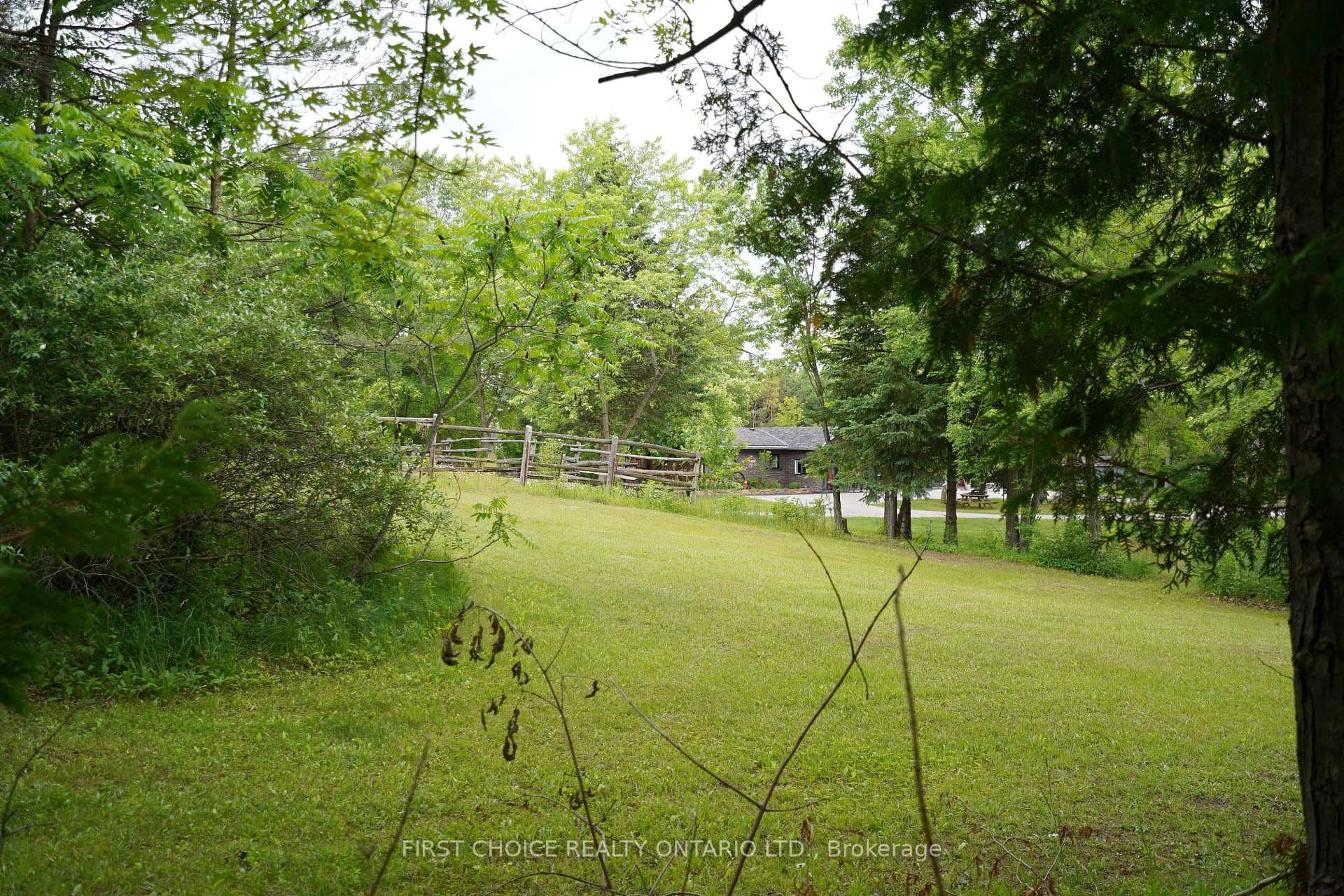 More yard space