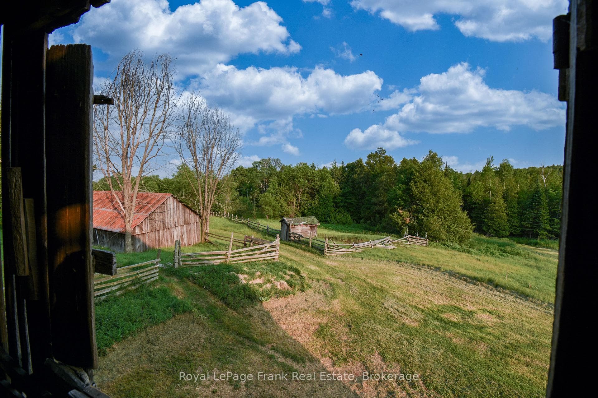 1804 Clydesdale Road photo 26