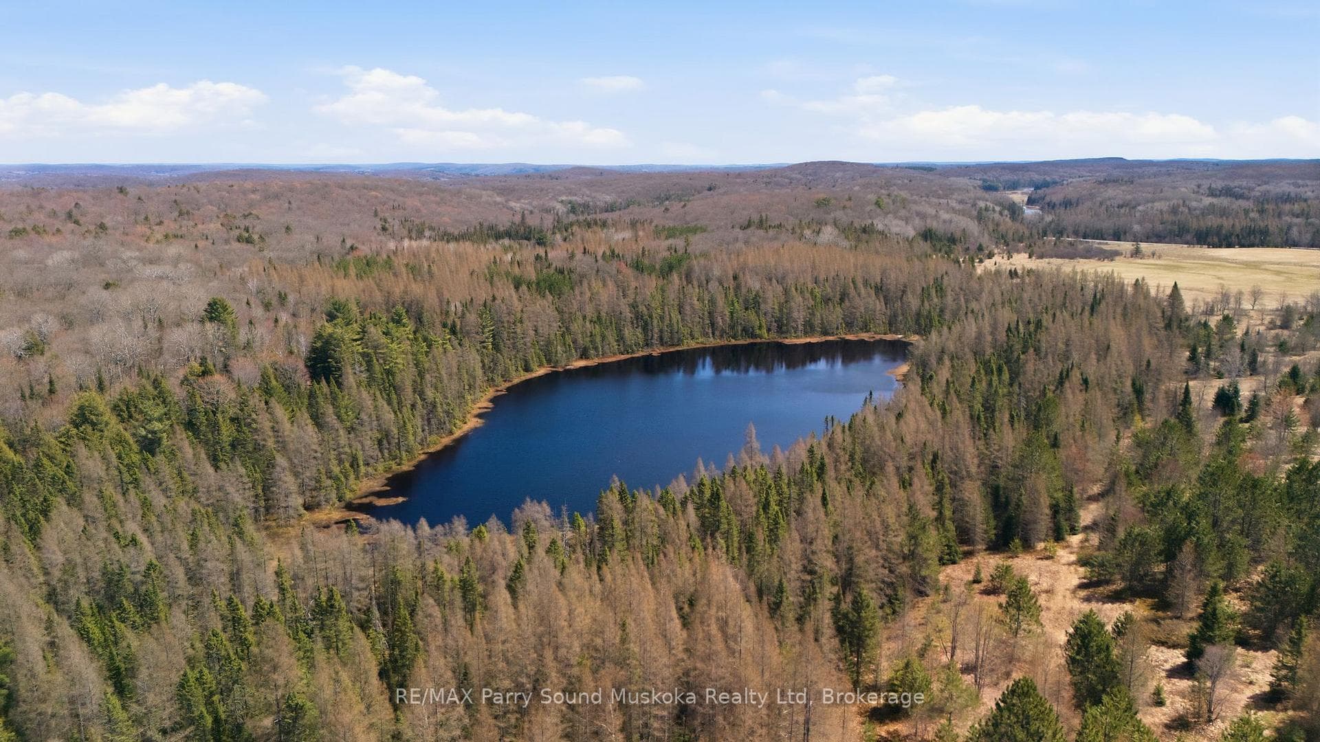 737 Starratt Rd - 48 Acres