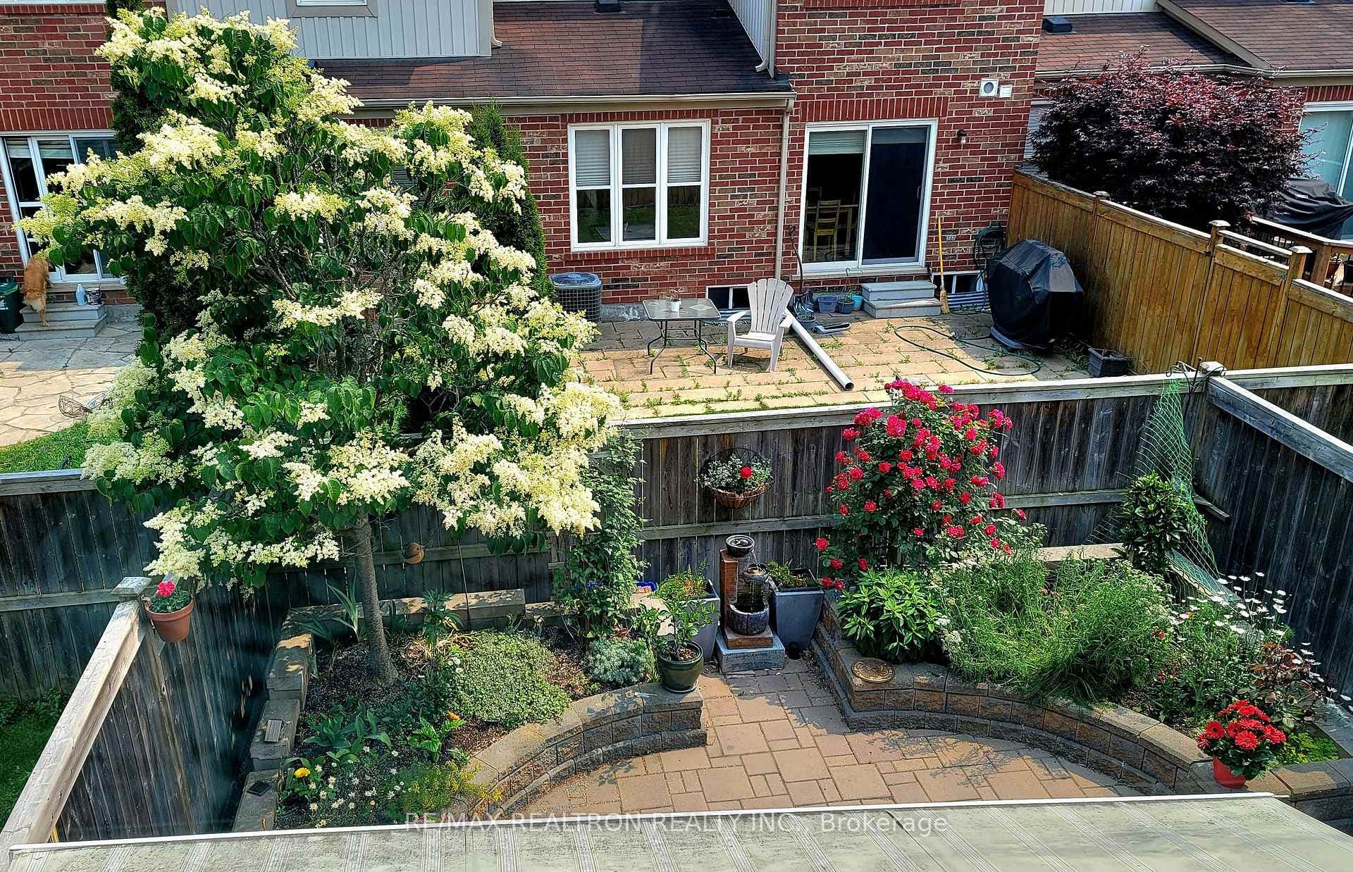 Mature Trees And Perennial Garden