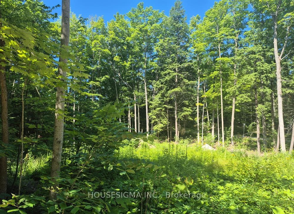 68 Beauremi Road photo 13