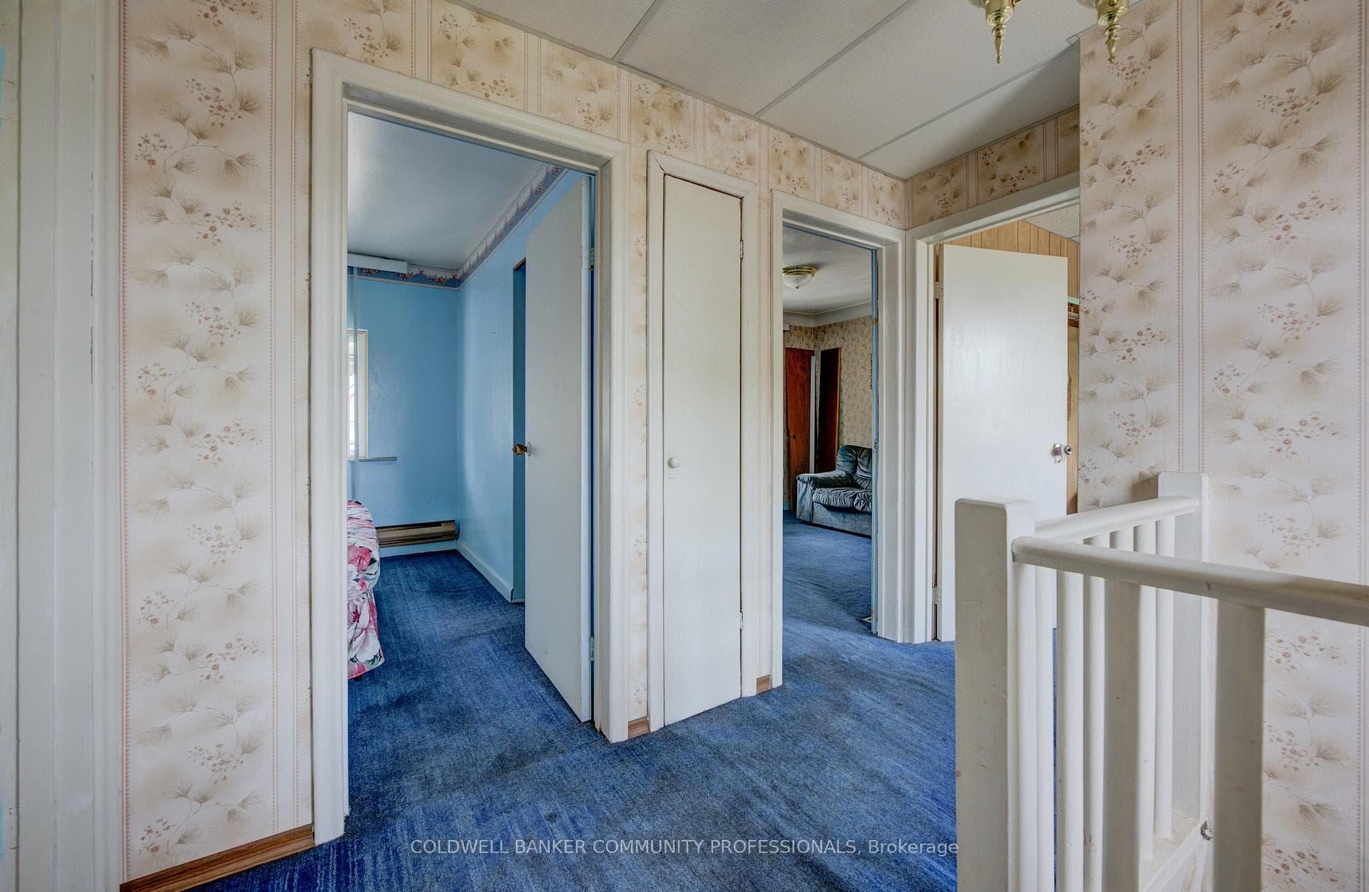 13 Primrose Avenue photo 16
