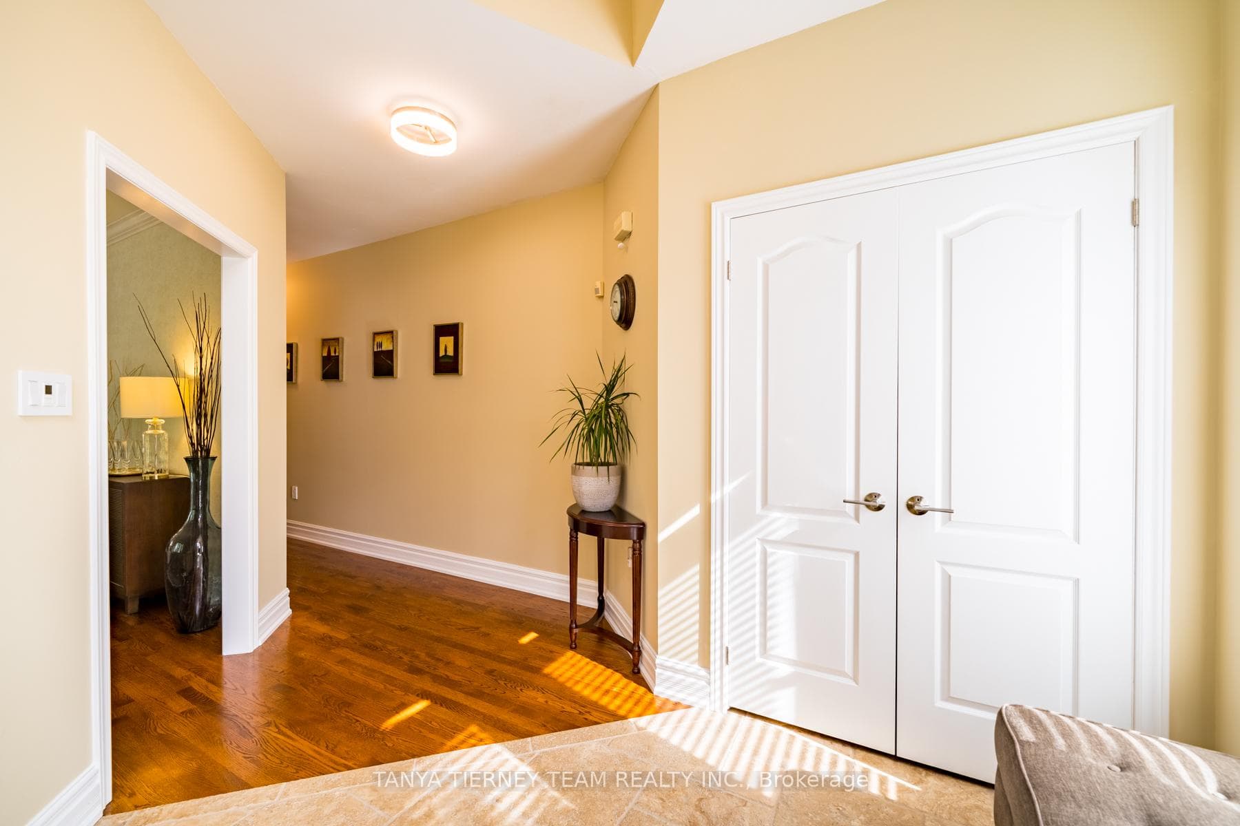 264 Hoover Drive photo 6