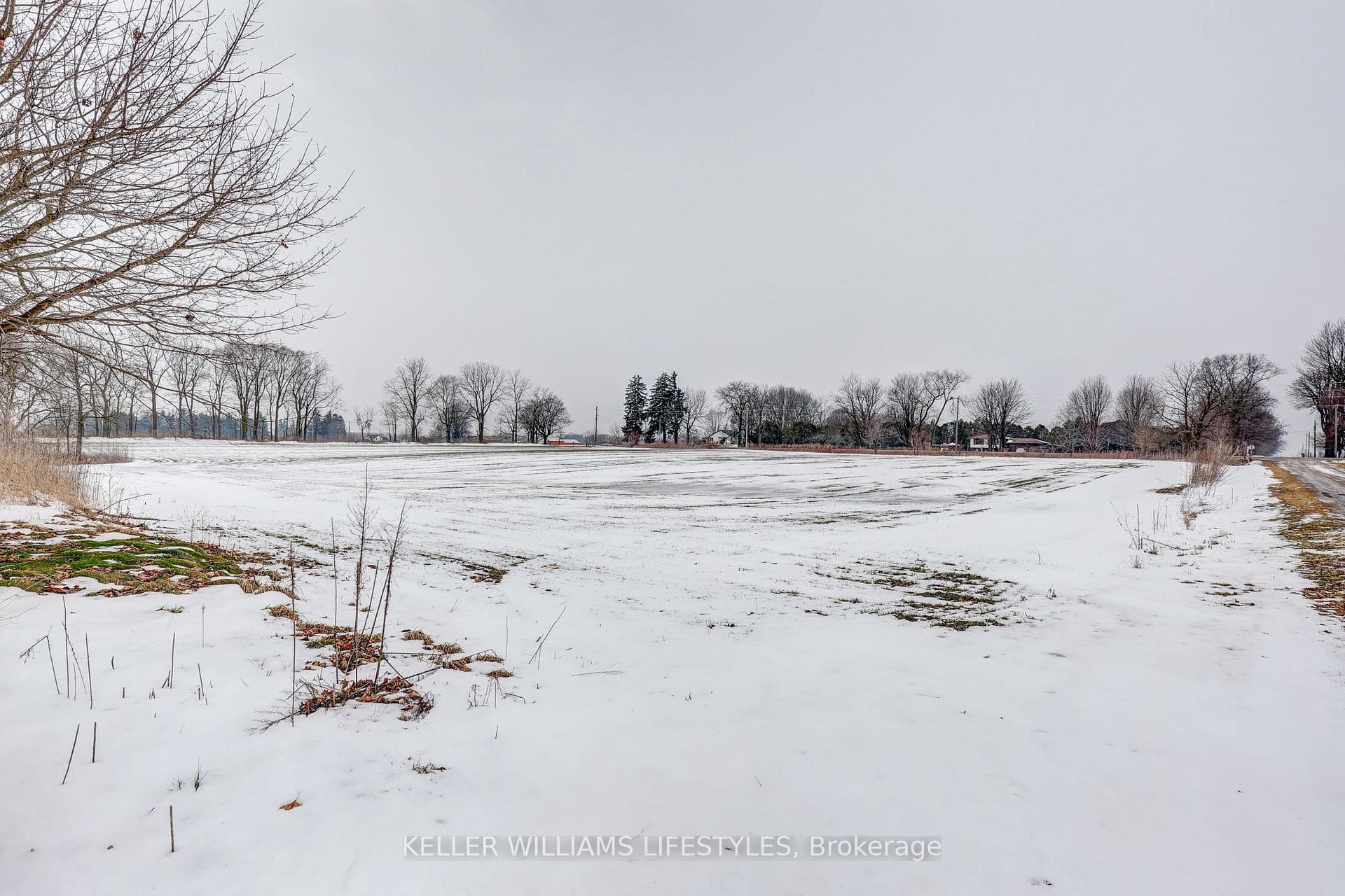 3220 Longwoods Road photo 21