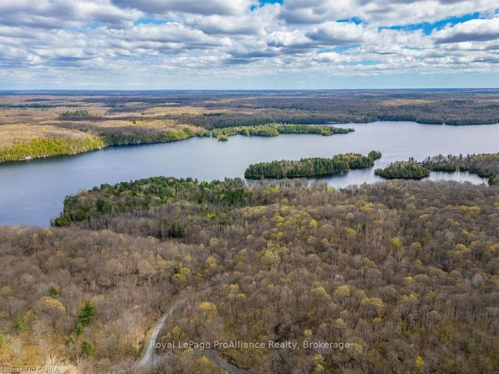 242 TIMMERMAN Road photo 43