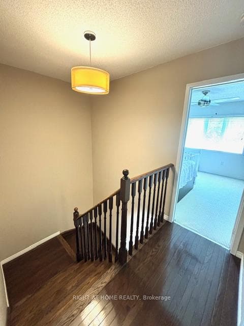 3169 Joel Kerbel Place photo 16
