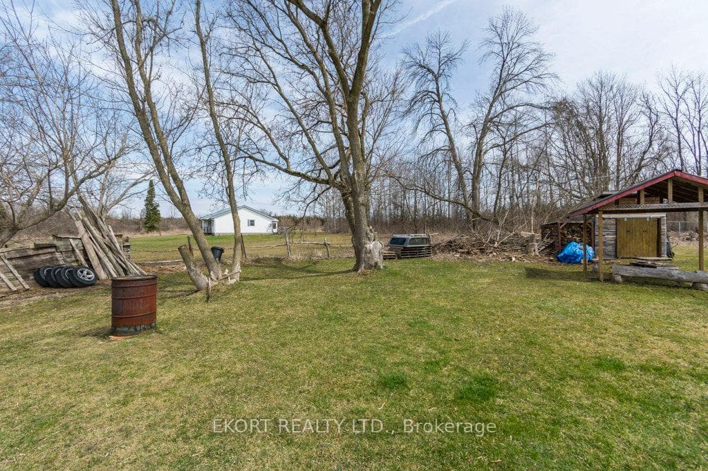 Rear Yard