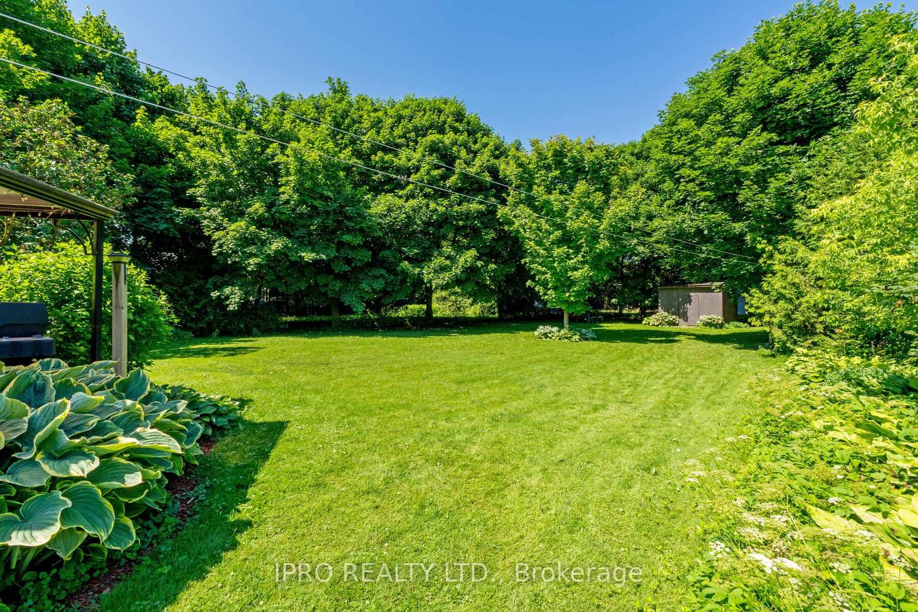 211 Frederick Street photo 35