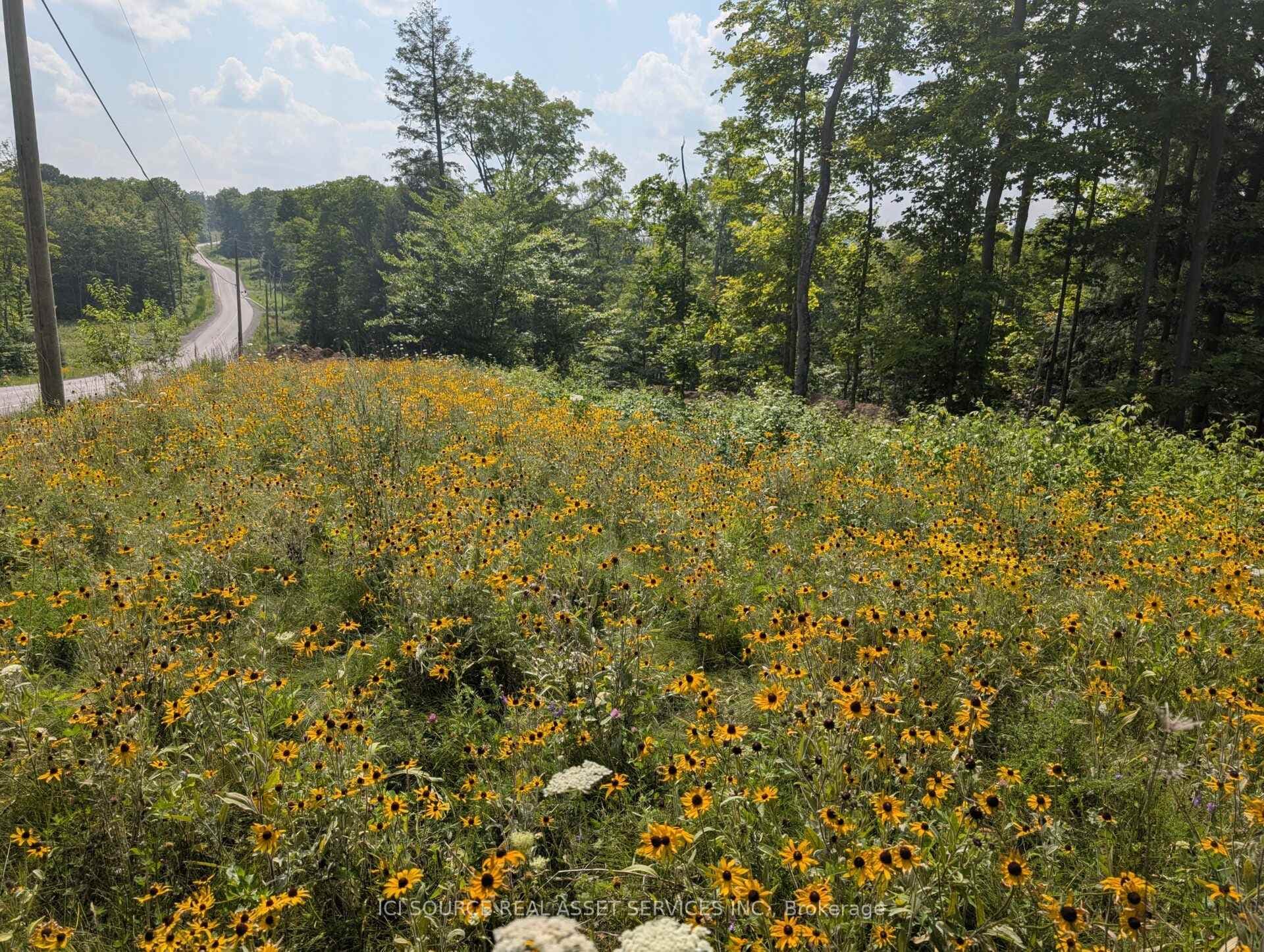 19 Shady Maple Road photo 14