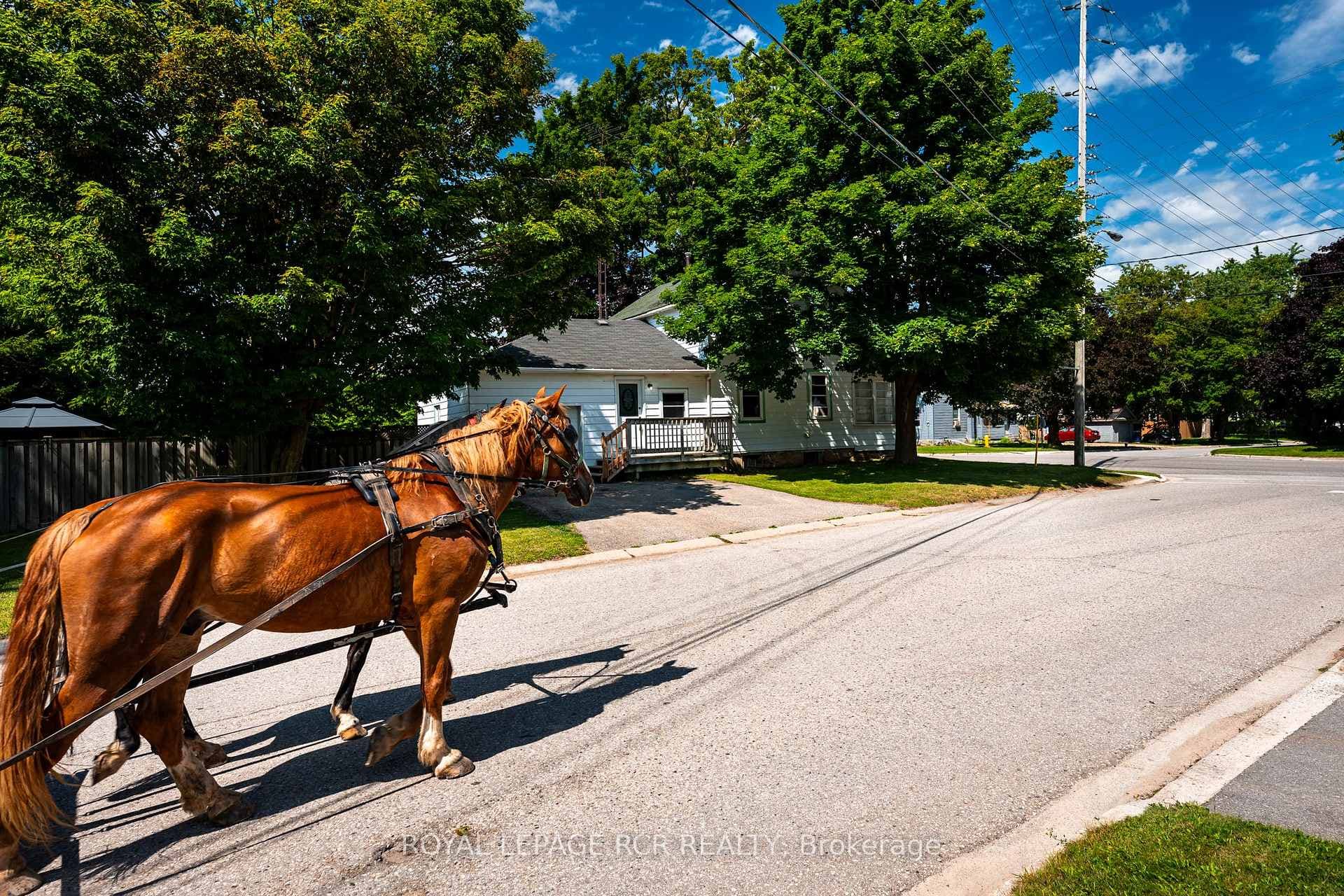 168 Victoria Street photo 9