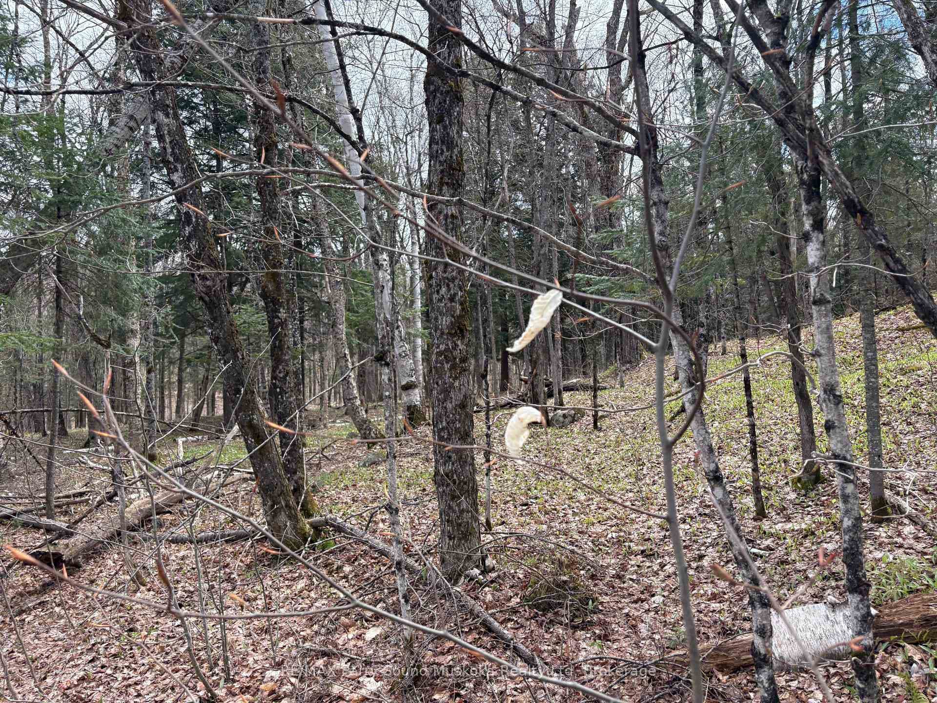 0 Ahmic Lake Road photo 2
