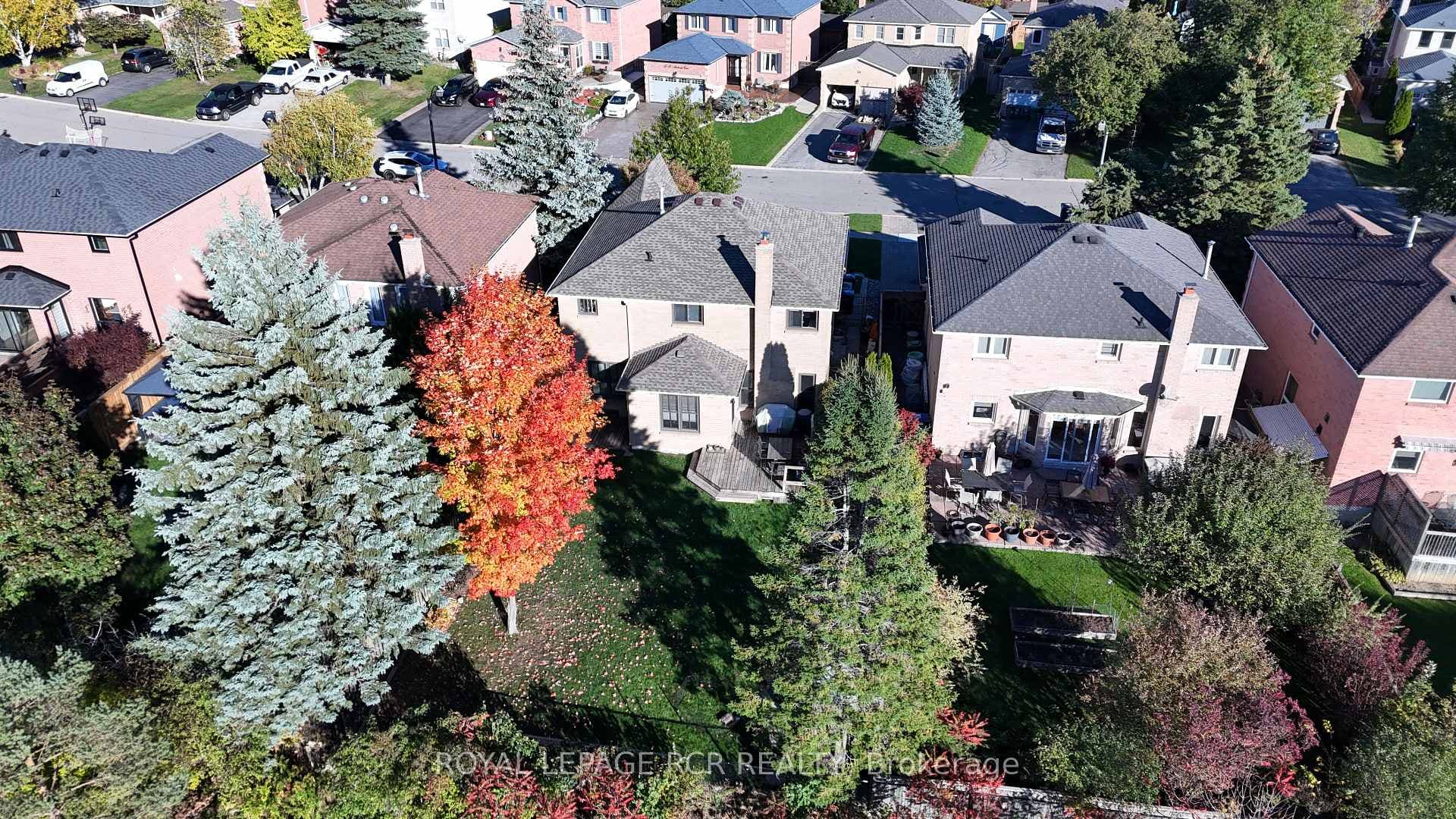 Aerial - Fall Photo of Yard