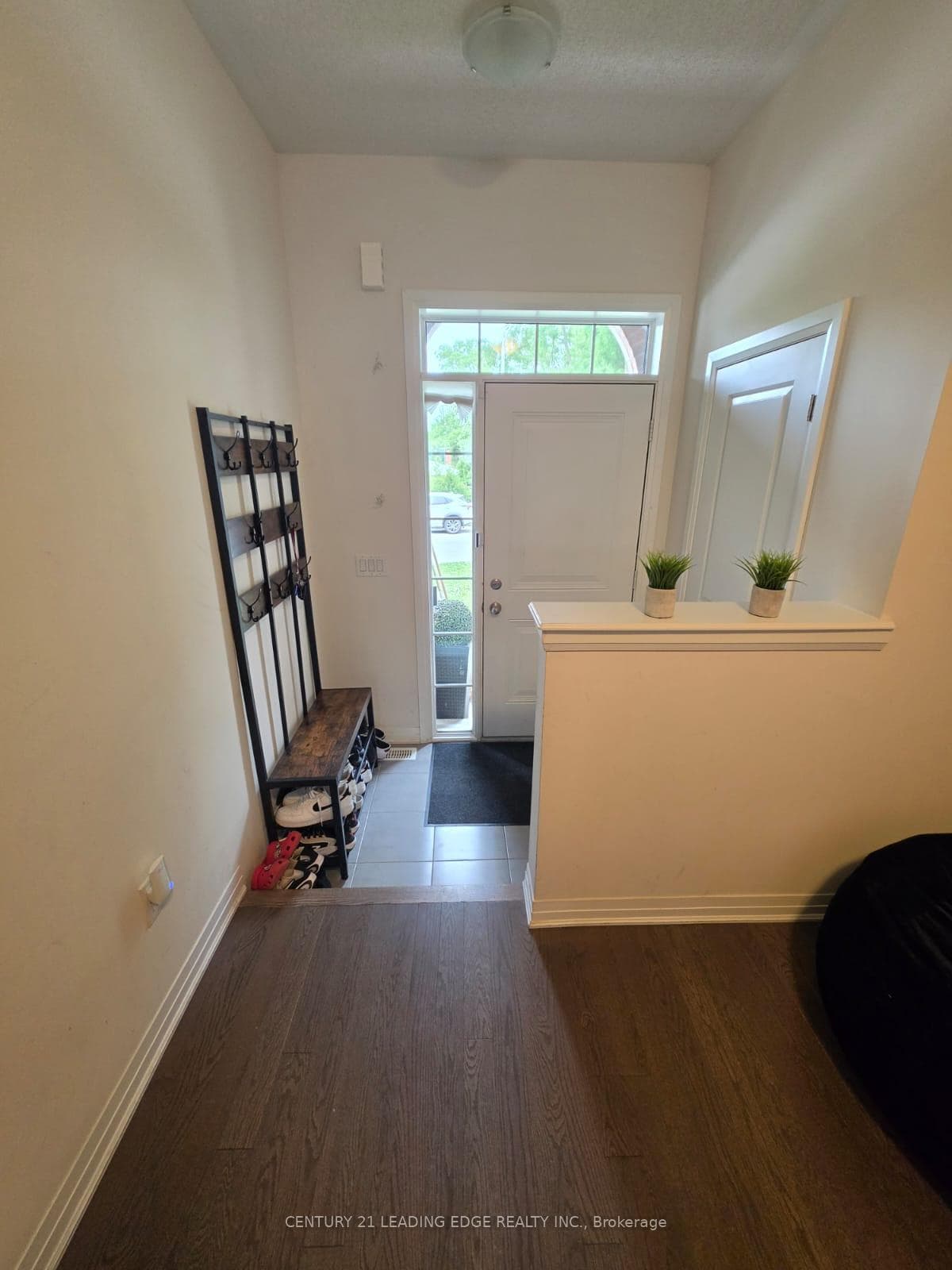 4098 Fracchioni Drive photo 7