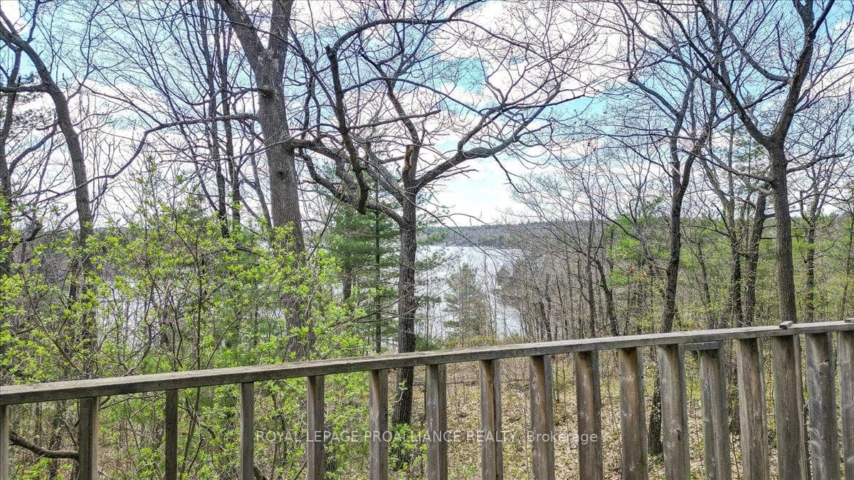 1120 Henderson Road photo 30
