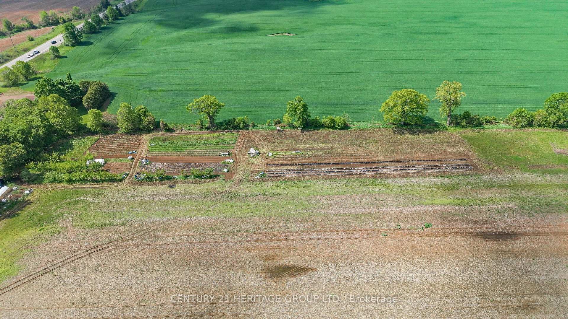 149 Cockshutt Road photo 16