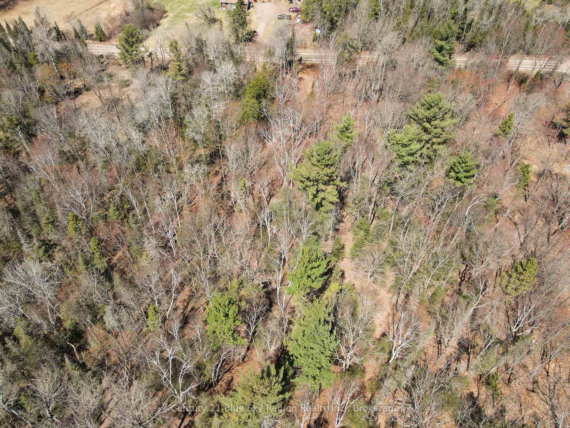 Part 3 Lot 10 Lindquist Line photo 14