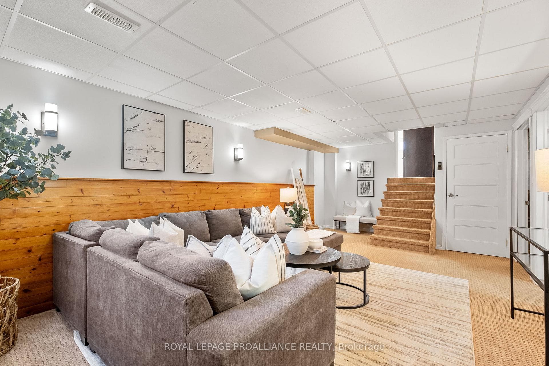 582 Carlisle Street photo 26