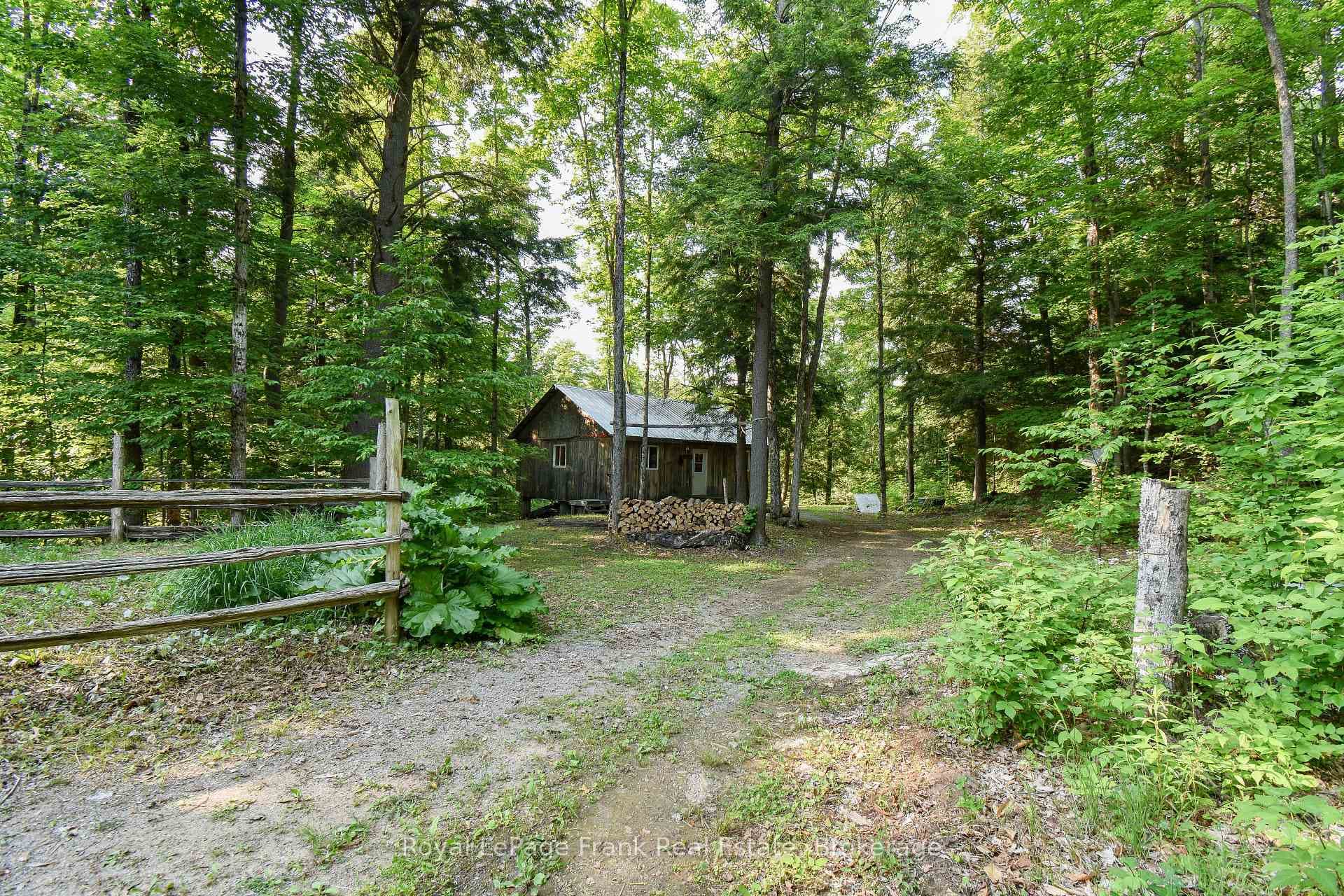 Cabin in the Woods