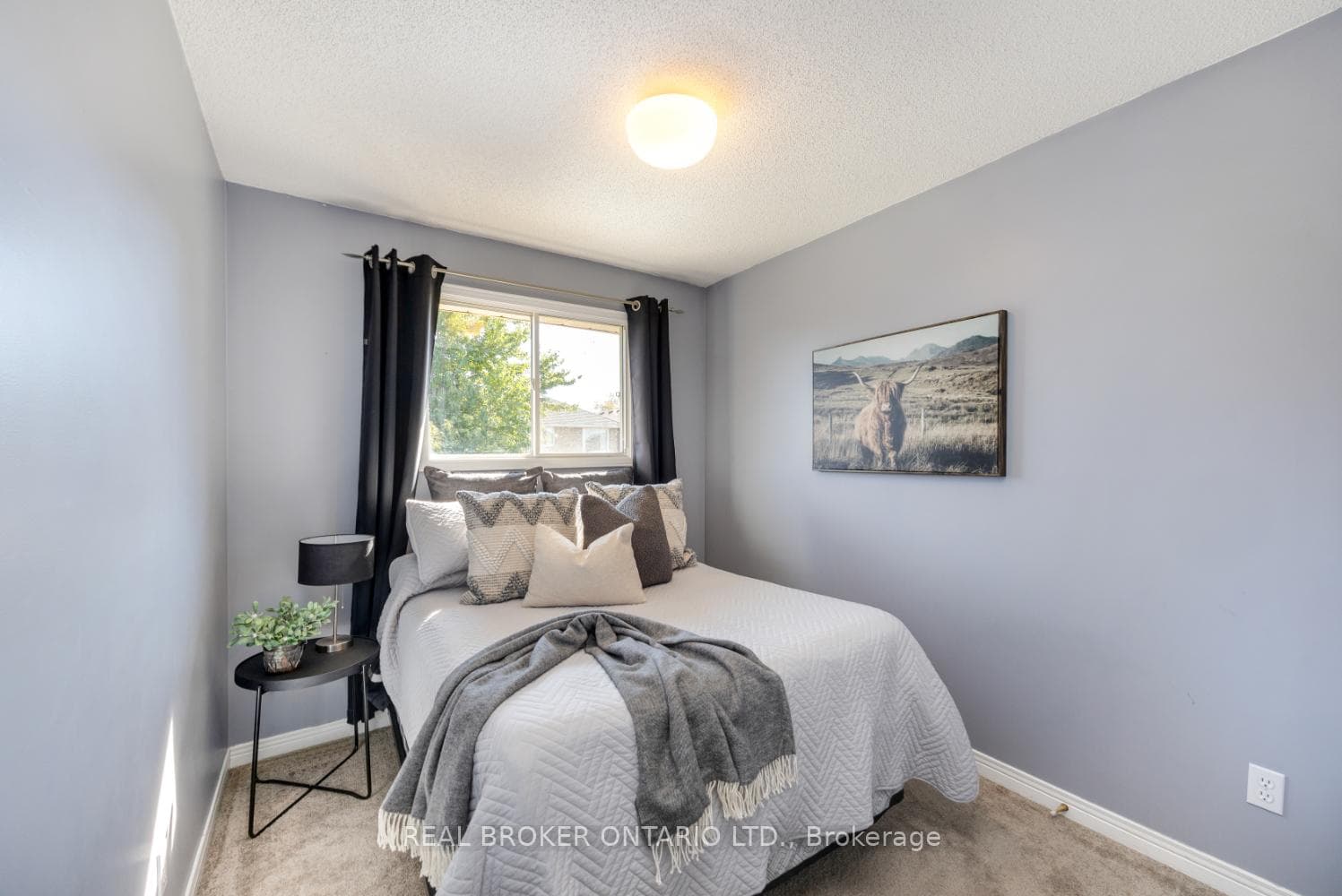13 Fieldcrest Avenue photo 19