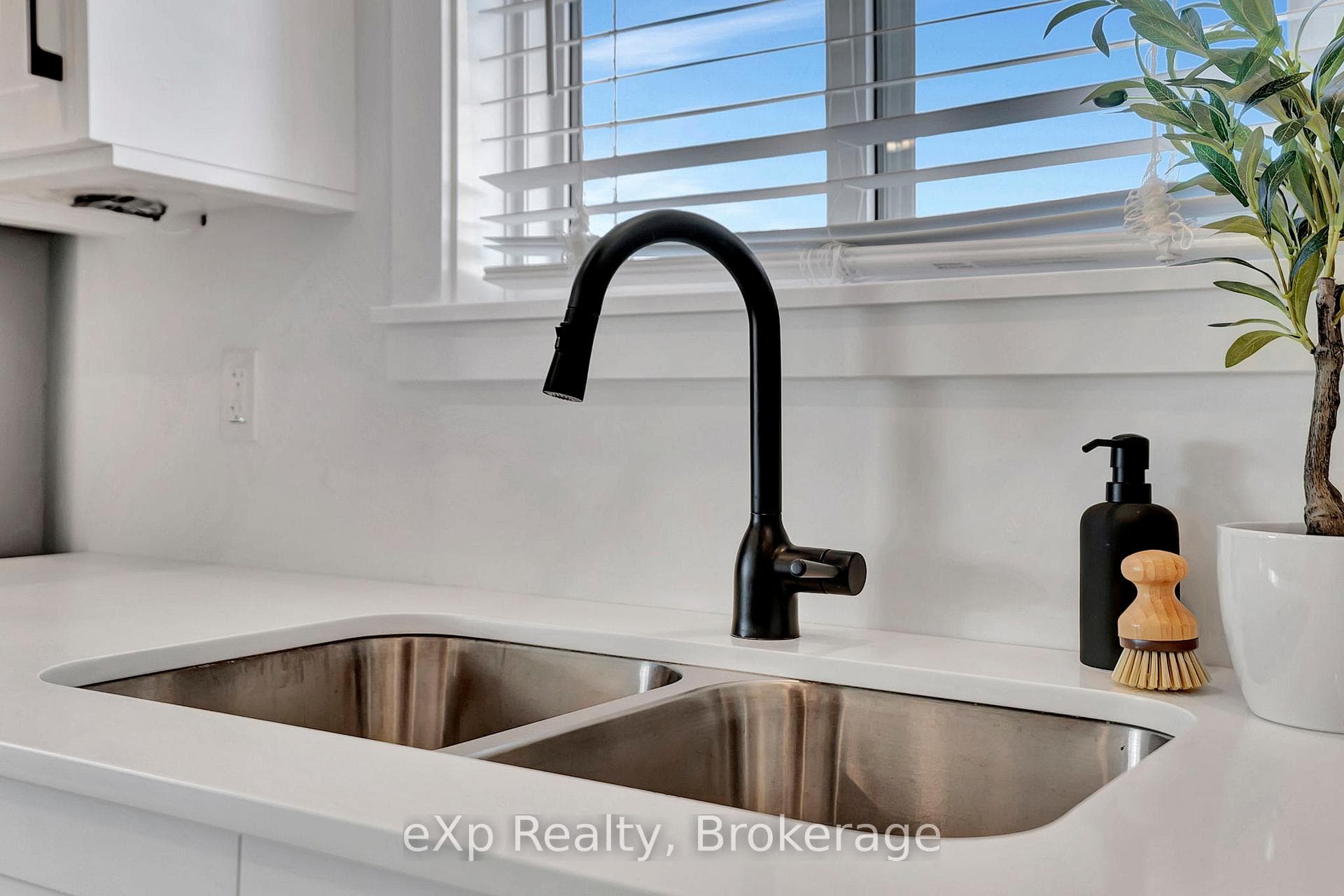 Double sink and faucet