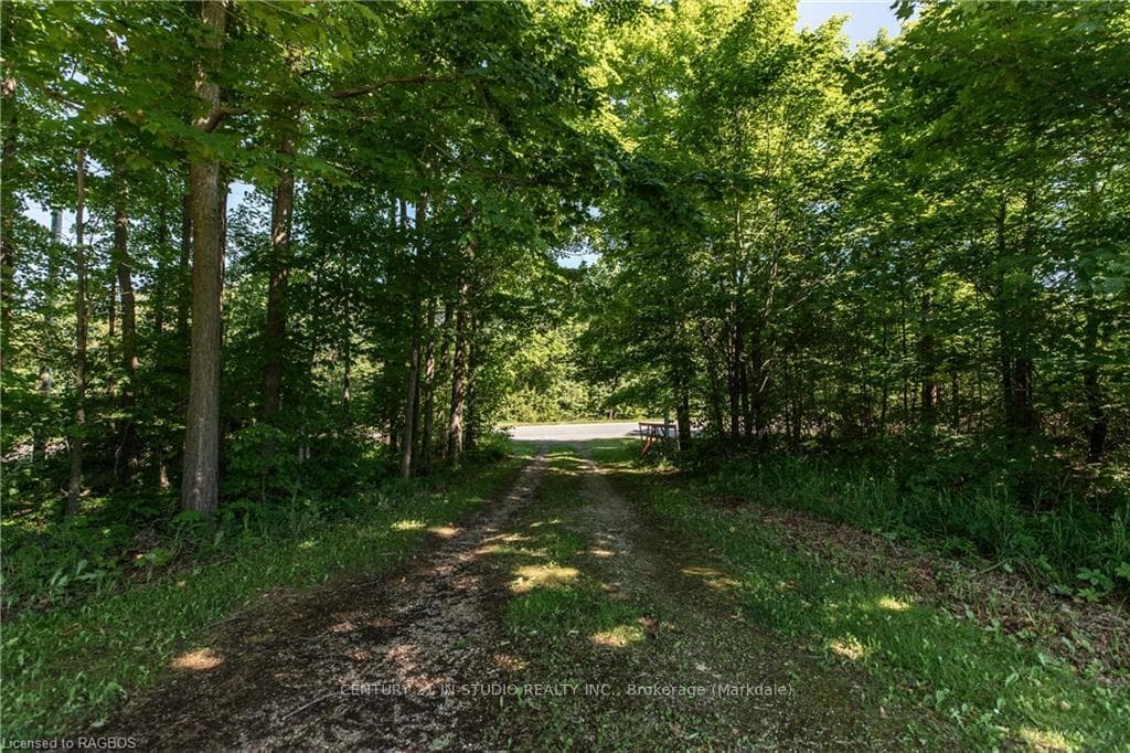 504452 GREY ROAD 12 N/A photo 34