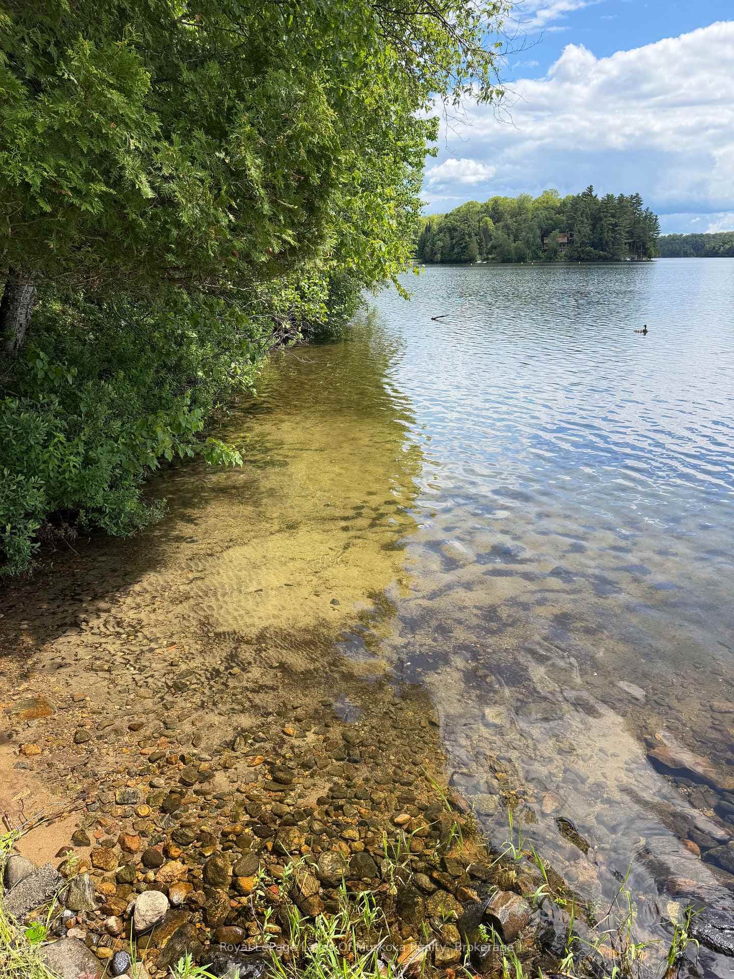 Sand Bottom Shoreline Looking South East