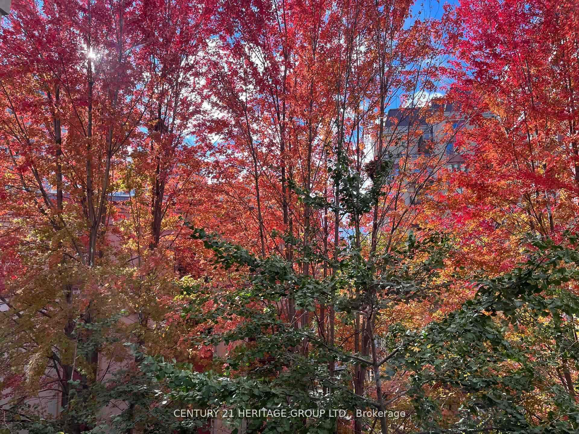23 Rean Drive Unit 309 photo 29