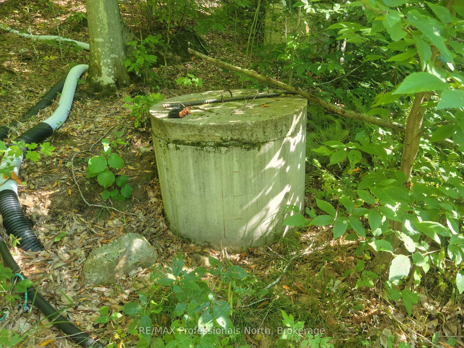 364 FORESTRY TOWER Road photo 31