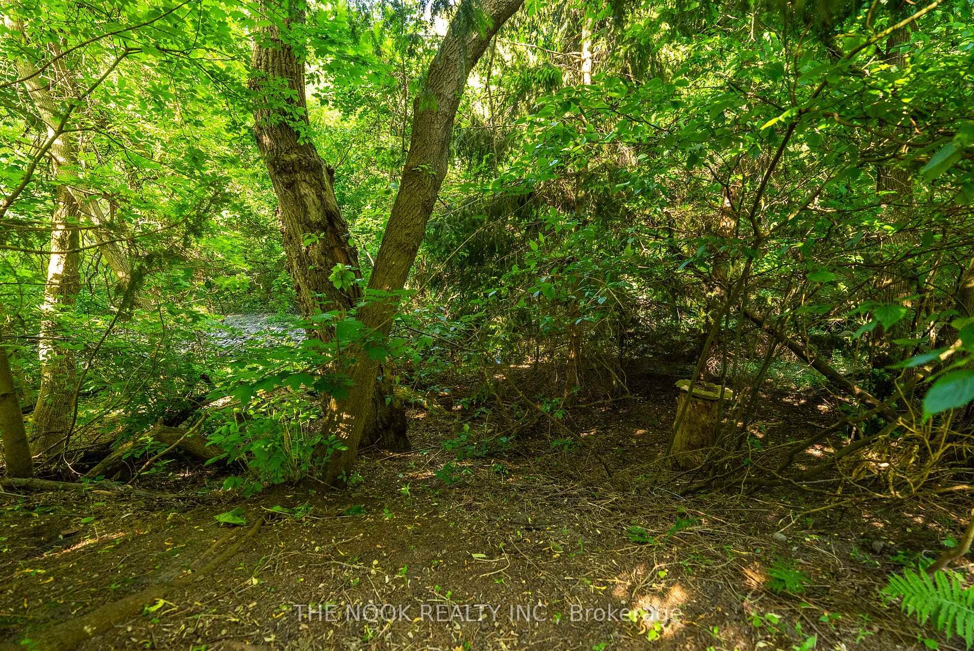 533 Arnhem Drive photo 30