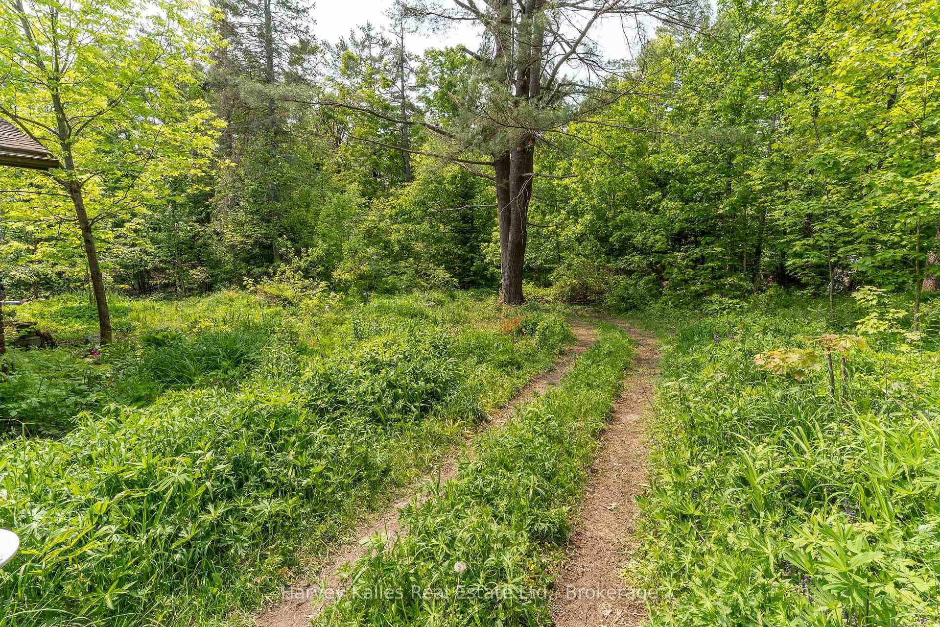 1099 Peterson Road photo 27