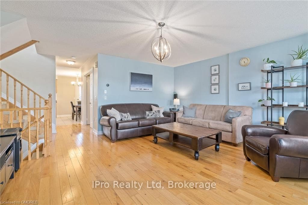 36 GREY OWL N/A photo 11