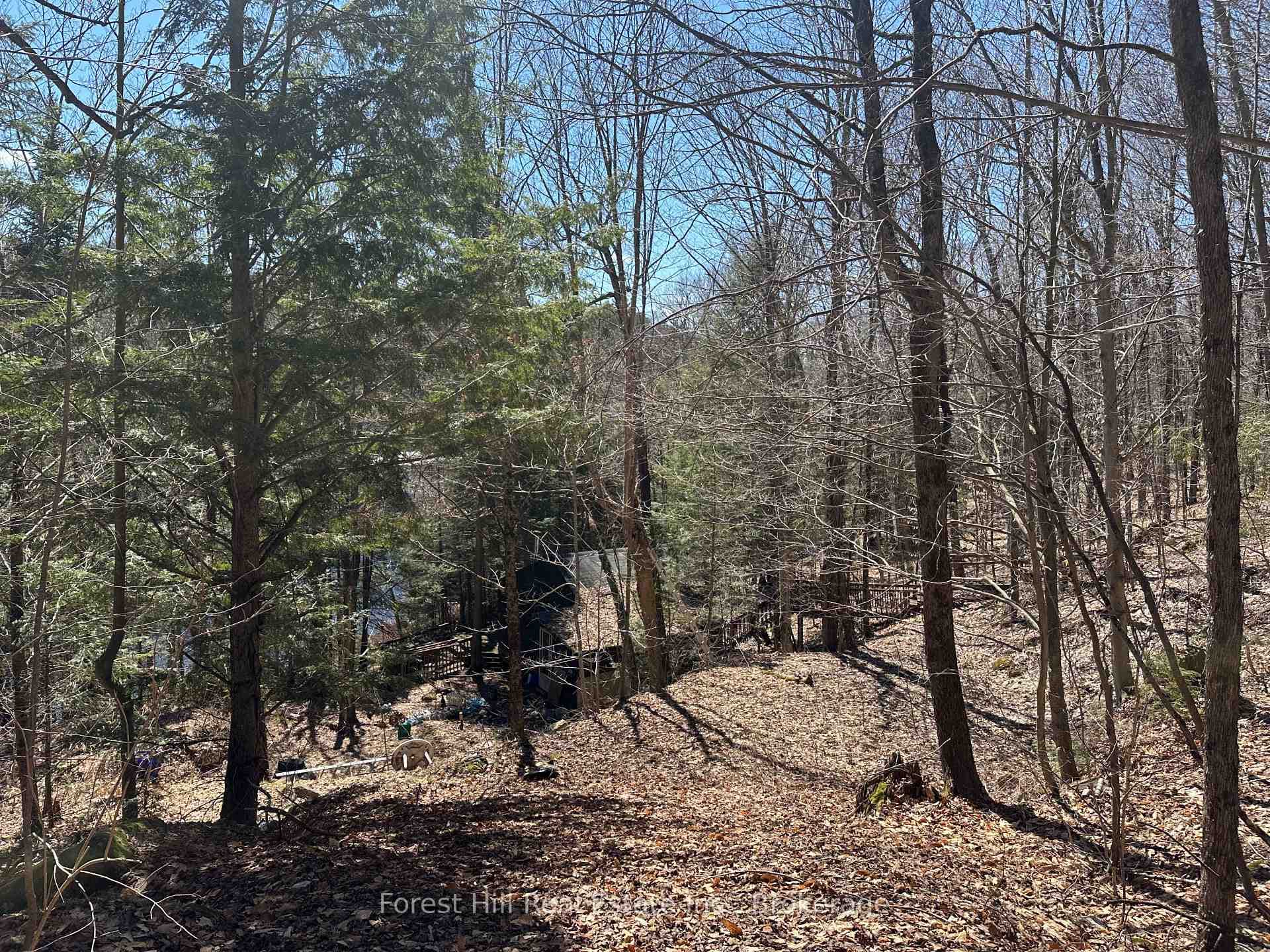 1107 Crane Lake Road photo 28