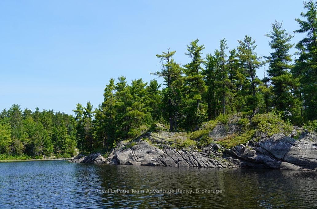 TP3411 ISLAND FRENCH RIVER N/A photo 23