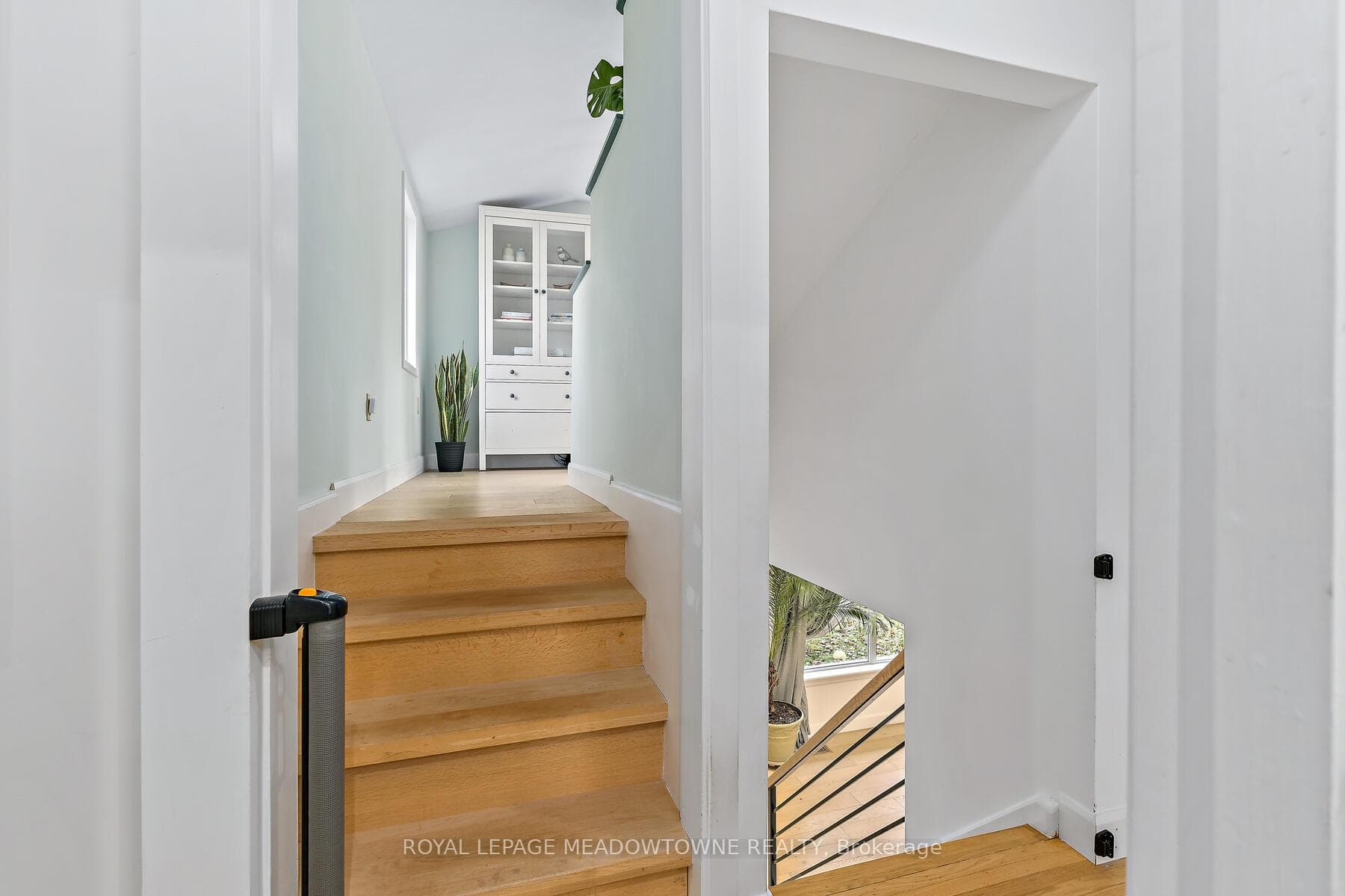 113 Elizabeth Drive photo 27