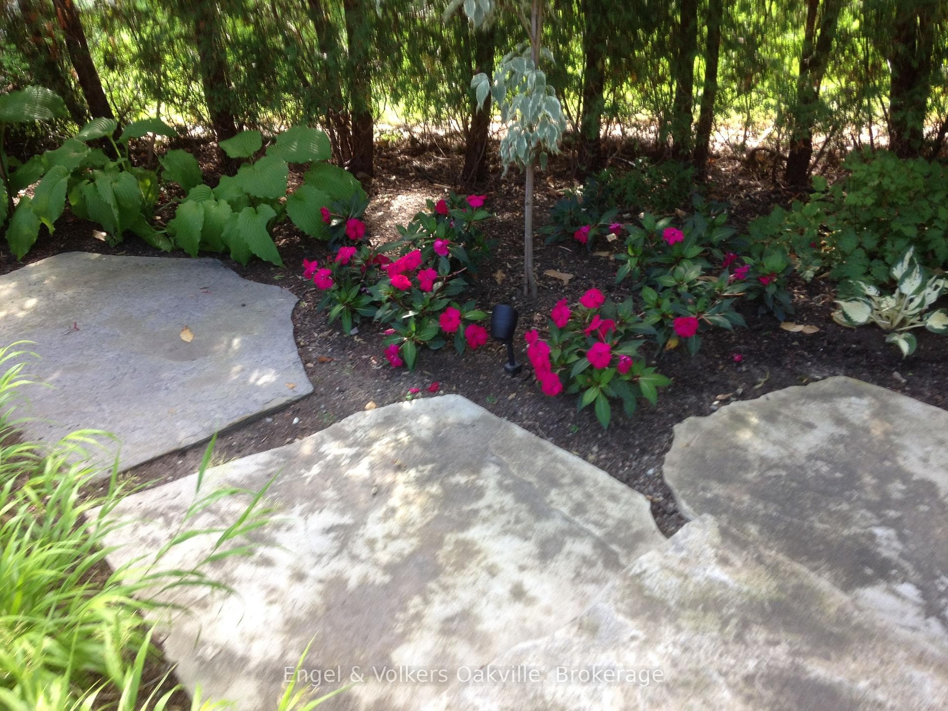 950 Wintergreen Place photo 28