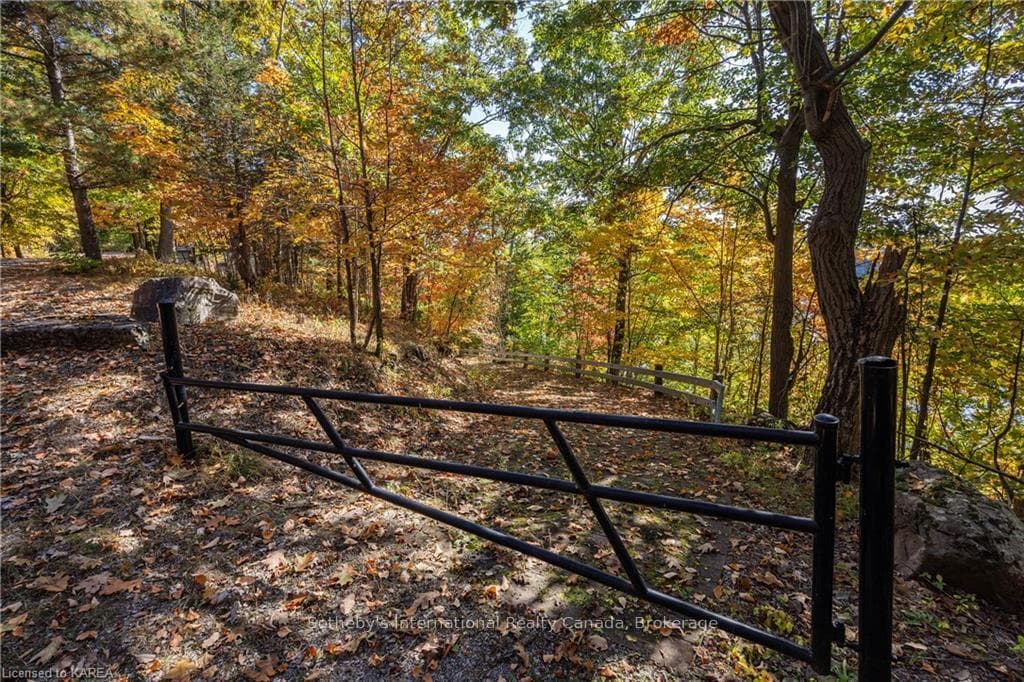 61 B JW Lane photo 49