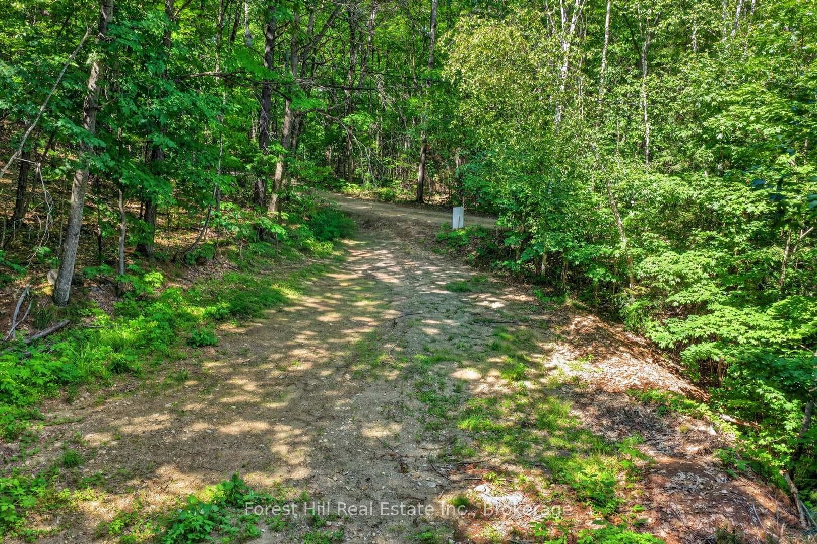 0 Alice Drive photo 6
