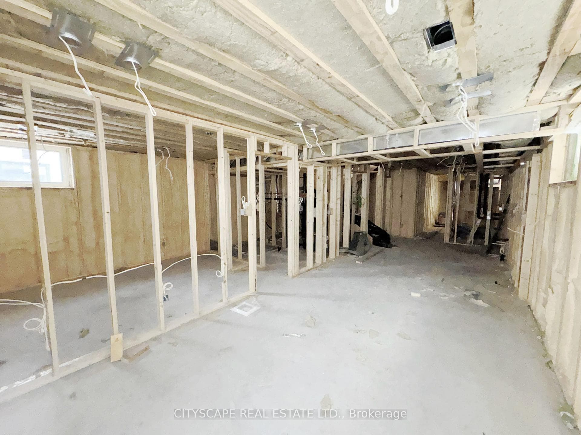 Basement: Living/Dining/Kitchen Area