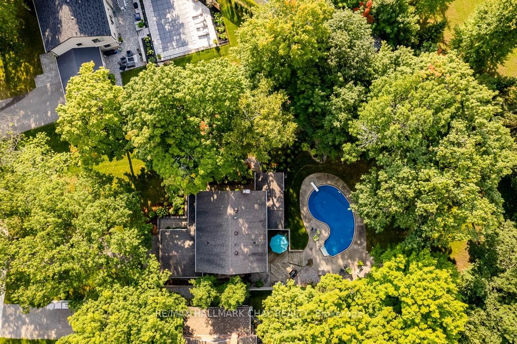 8 Royal Oak Drive photo 39