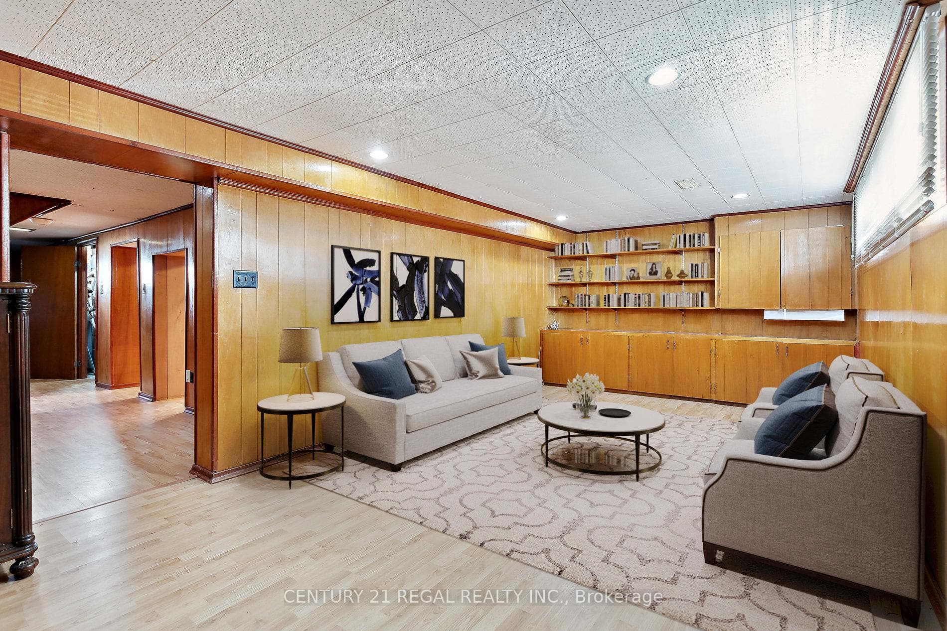 Basement Living Room
