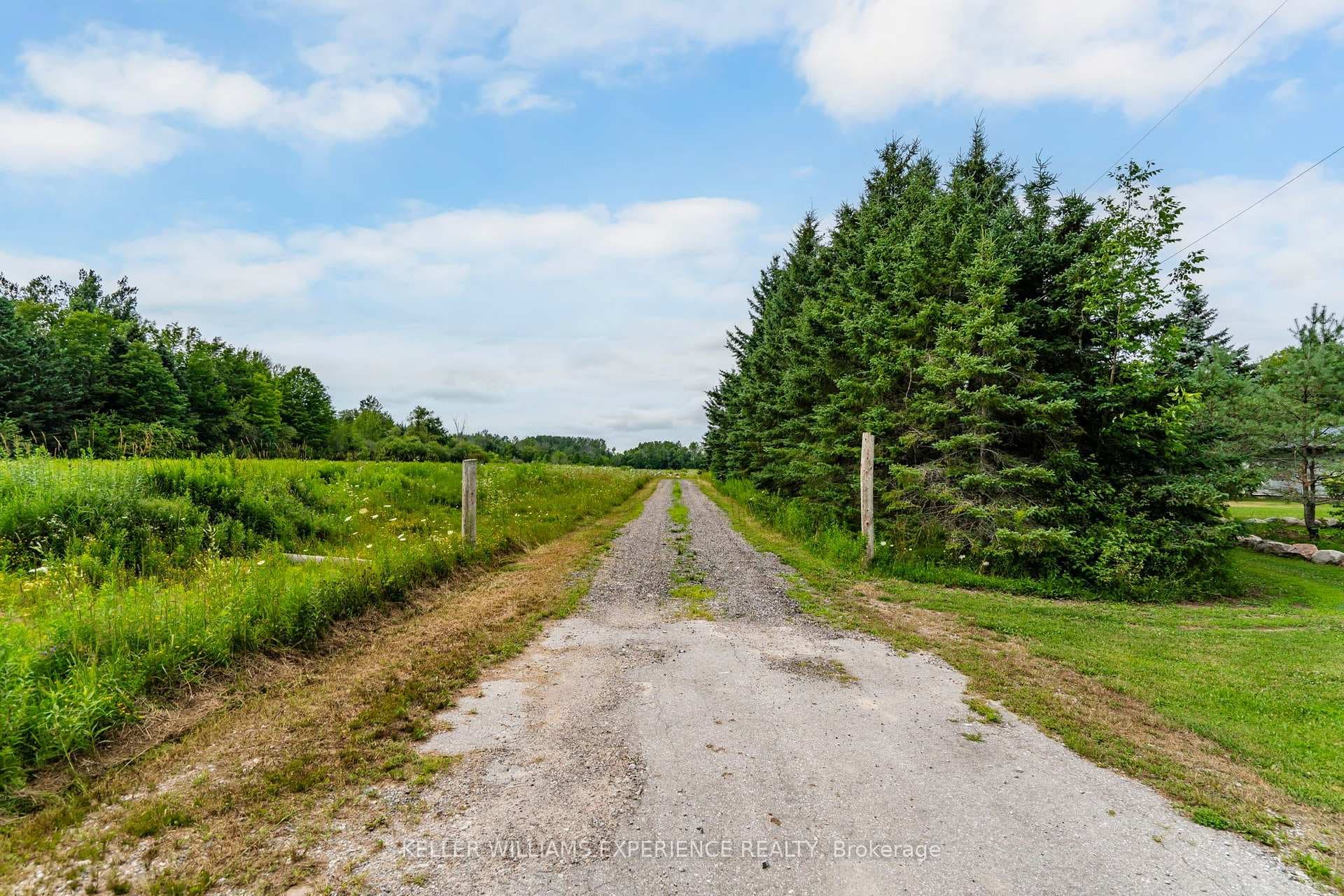 320 6 Concession photo 45