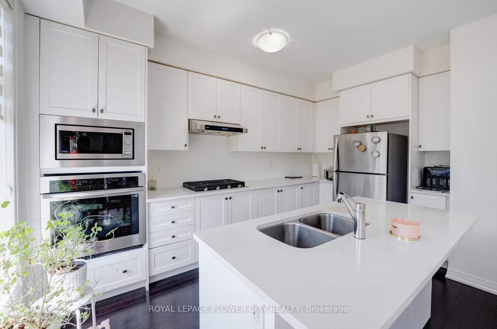 44 Weylie Street photo 24