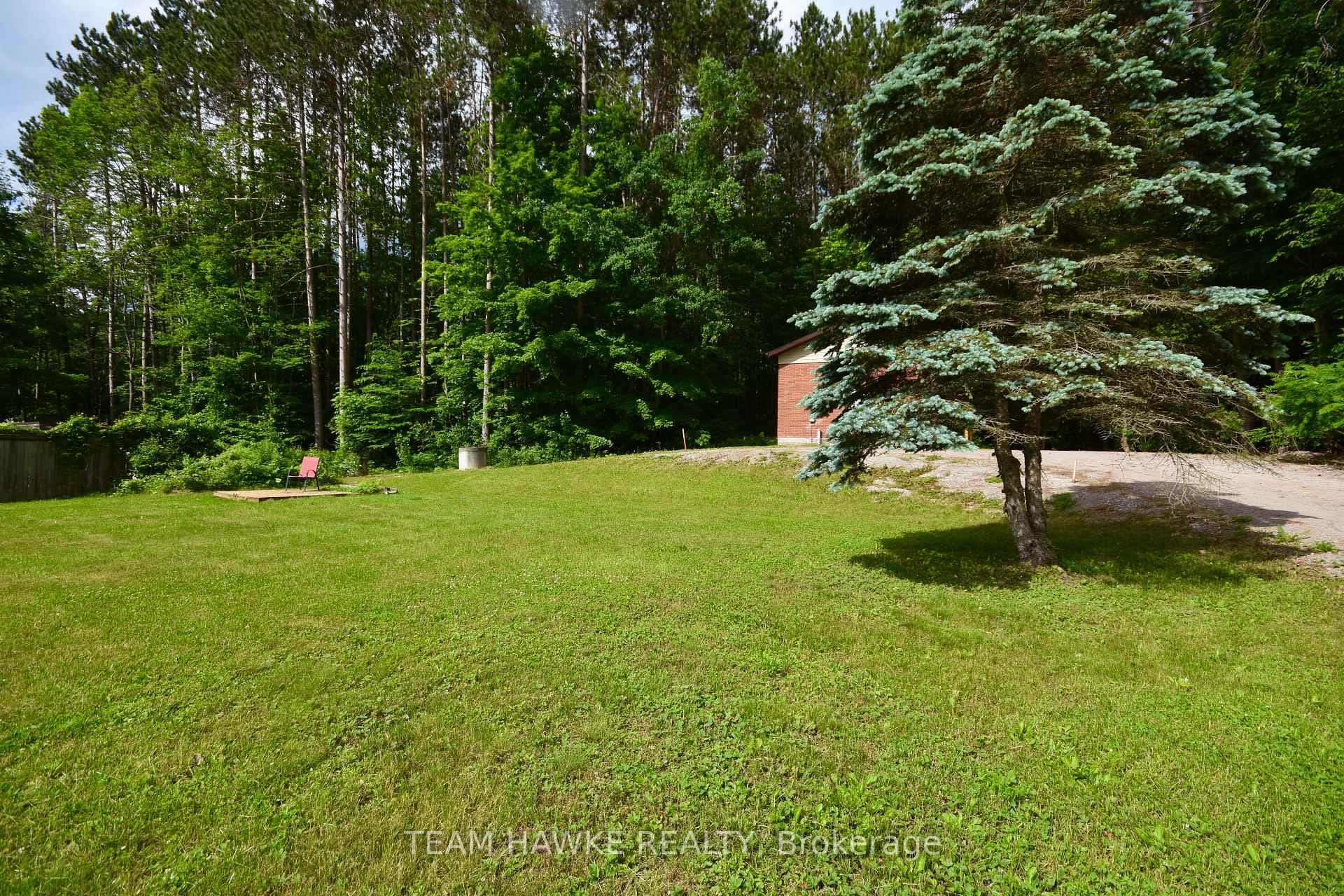 6 Timcourt Drive photo 37