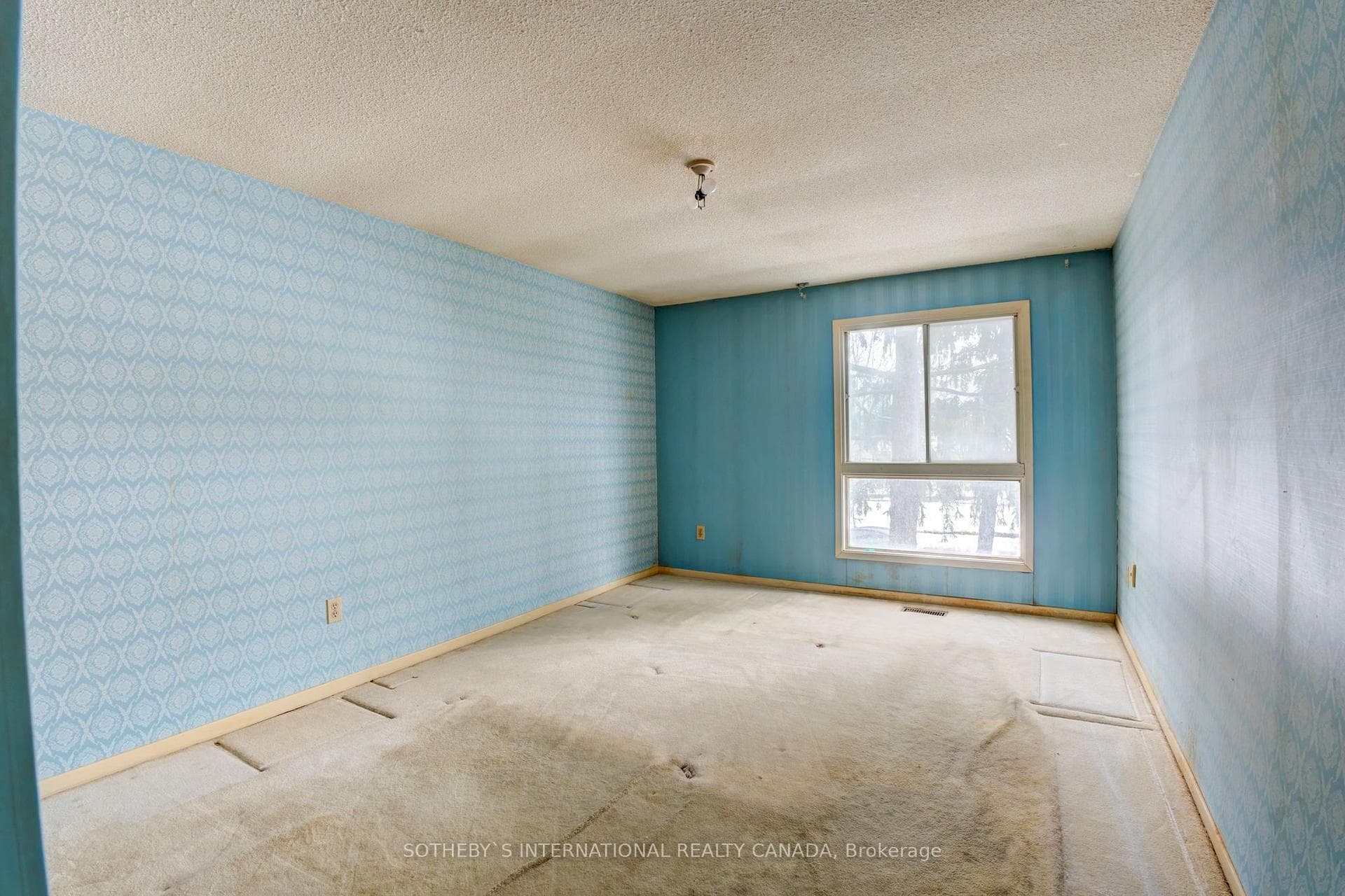123 Burrows Hall Boulevard Unit 5 photo 18