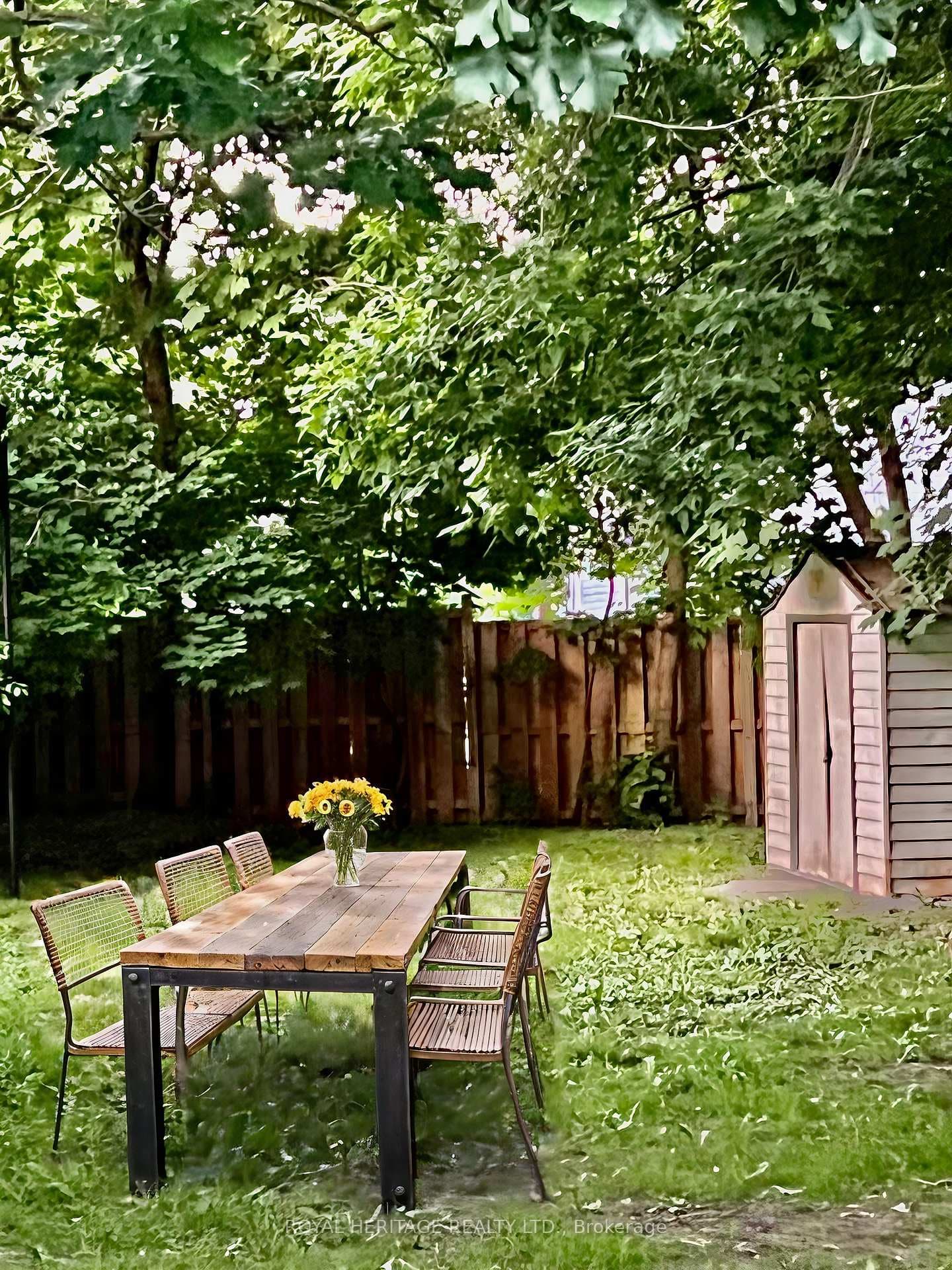 Back Yard